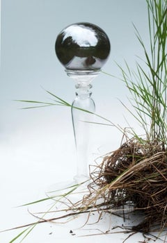 Gazing Ball, Beaver Dam, Lago Clark, AK, Arte de Beth Lipman, 2014