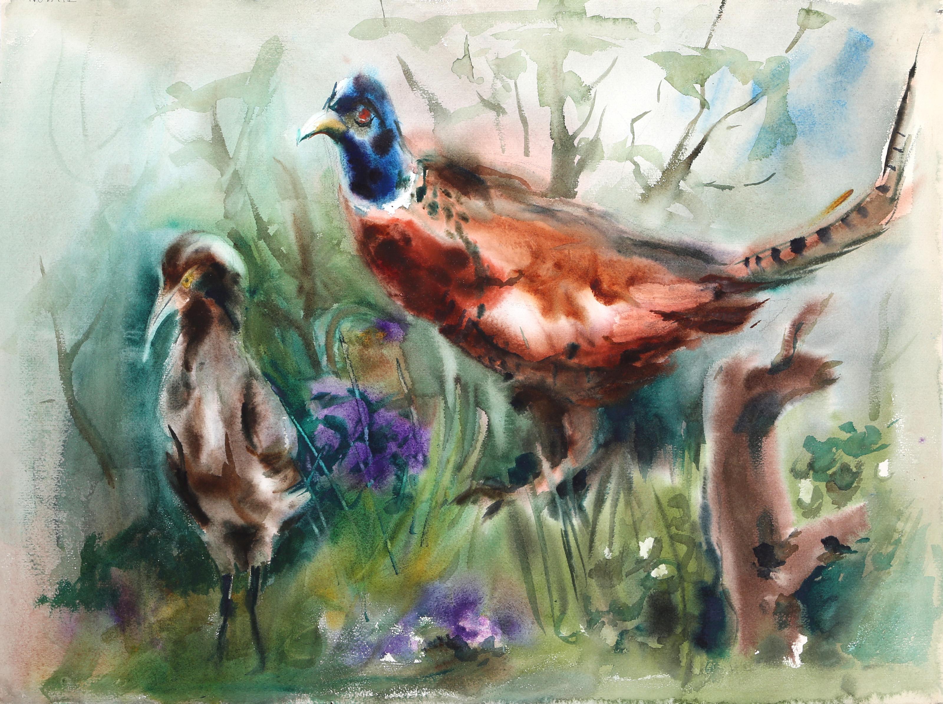Eve Nethercott Animal Drawings and Watercolors