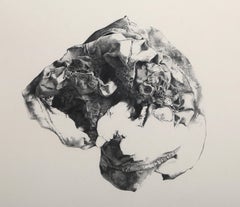 Descomposición, dibujo surrealista a lápiz de Charles Pfahl