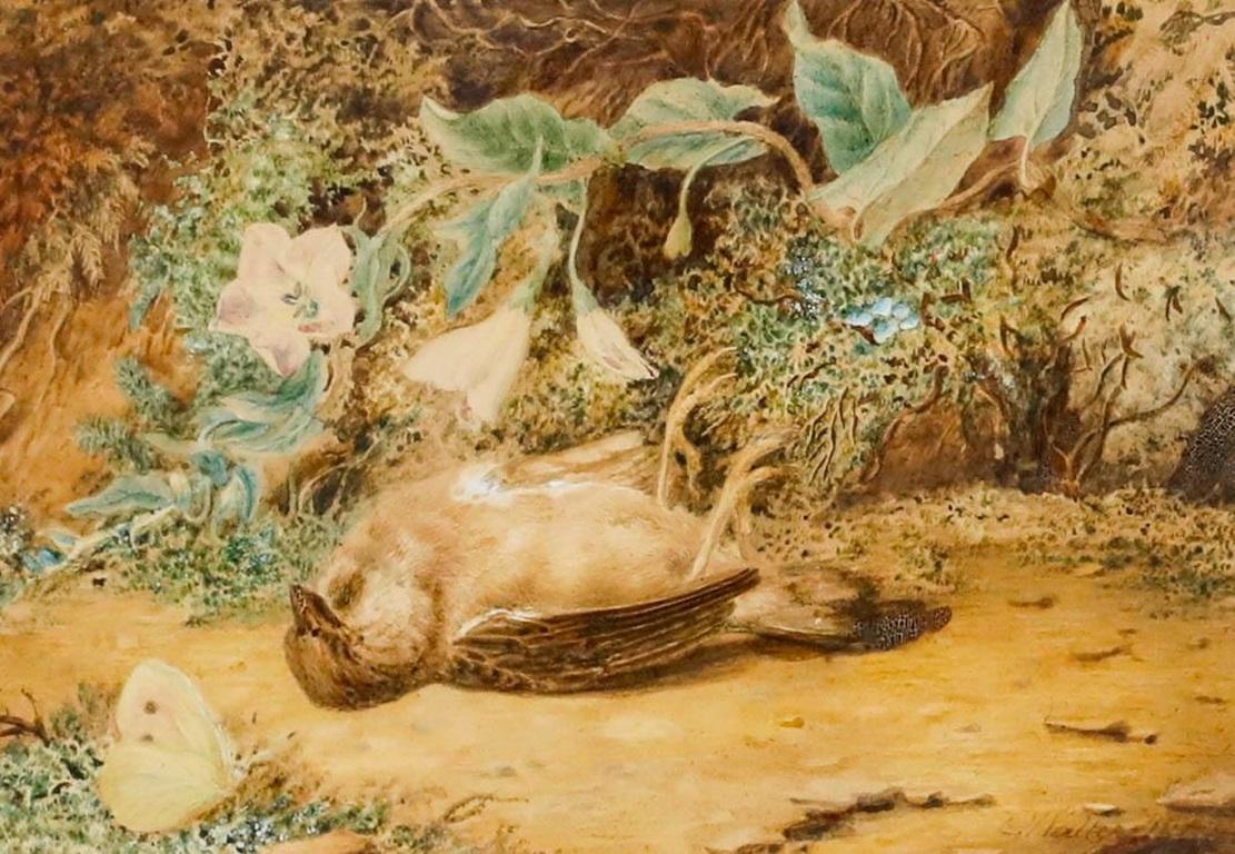 Emma Walter (1833-1893) - Aquarelle de la fin du XIXe siècle, Le moineau mort - Art de Unknown