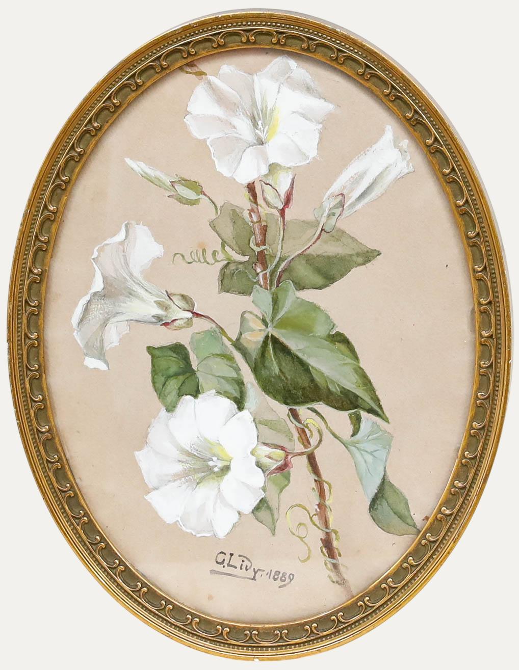 Still-Life di Unknown - C. Lidy - Gouache del 1889 incorniciata, Gloria del mattino