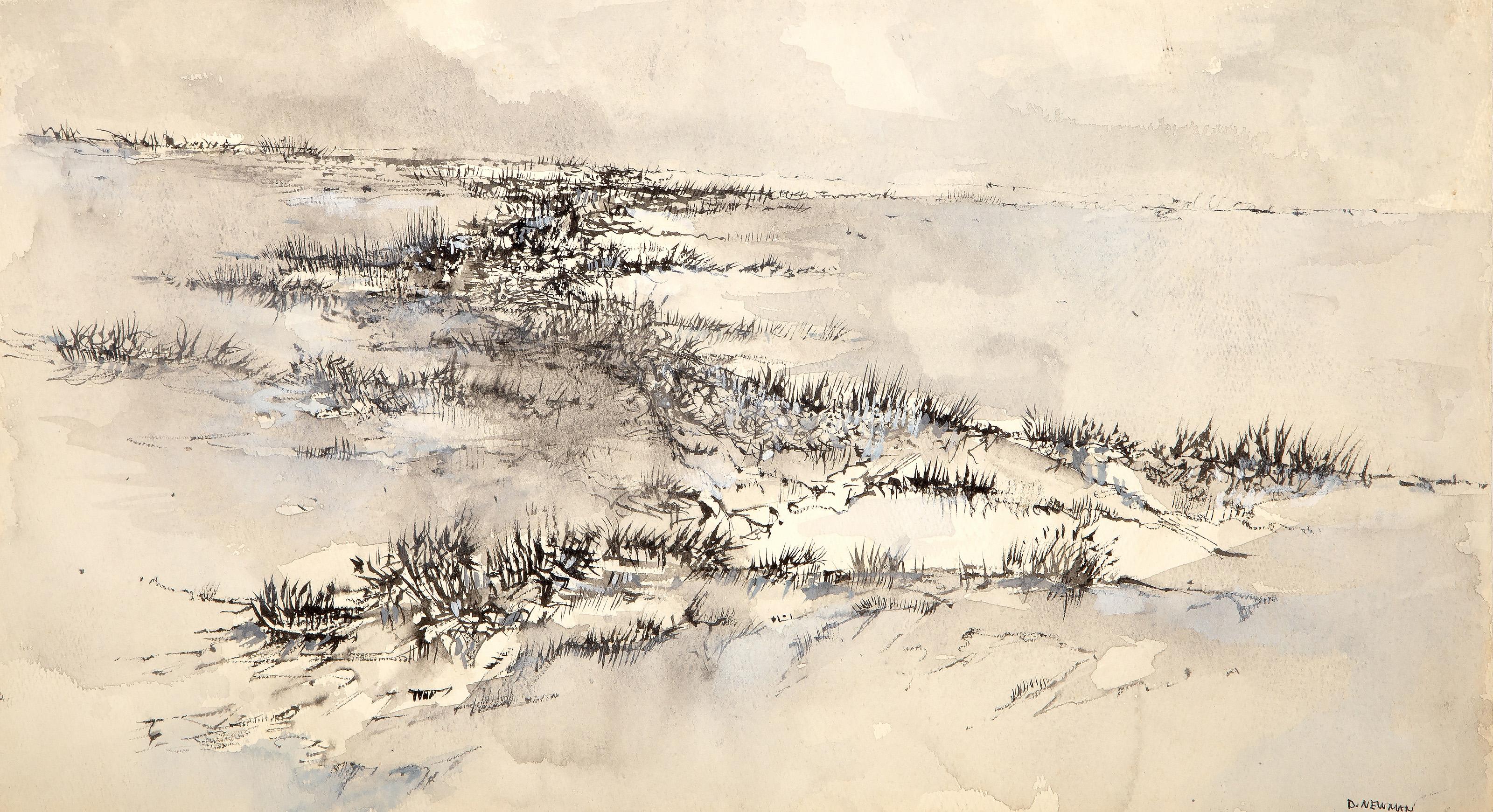  Daniel Newman, American (1927 - 1994) -  Bare Landscape, Year: circa 1960, Medium: Watercolor on Paper, signed lower right, Size: 11 x 20 in. (27.94 x 50.8 cm) 
