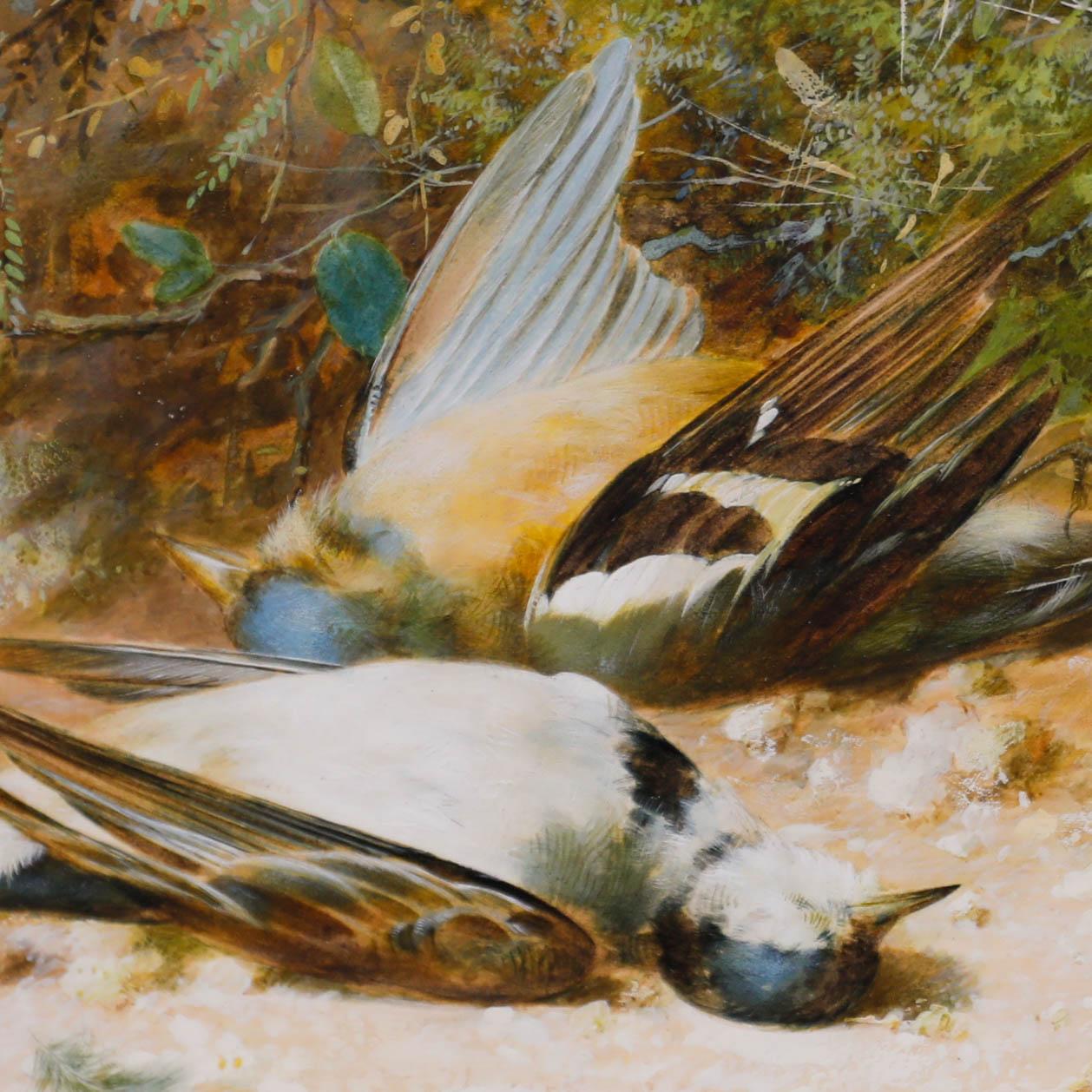 William Cruikshank (1848-1922) - 19th Century Watercolour, Yellow Wagtails For Sale 3