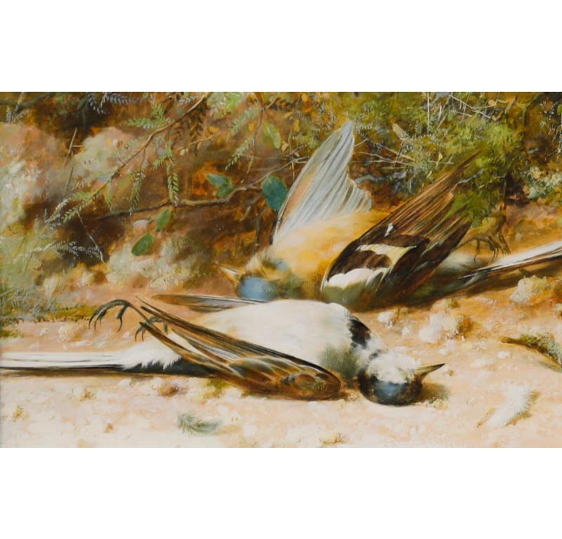 William Cruikshank (1848-1922) - 19th Century Watercolour, Yellow Wagtails For Sale 1