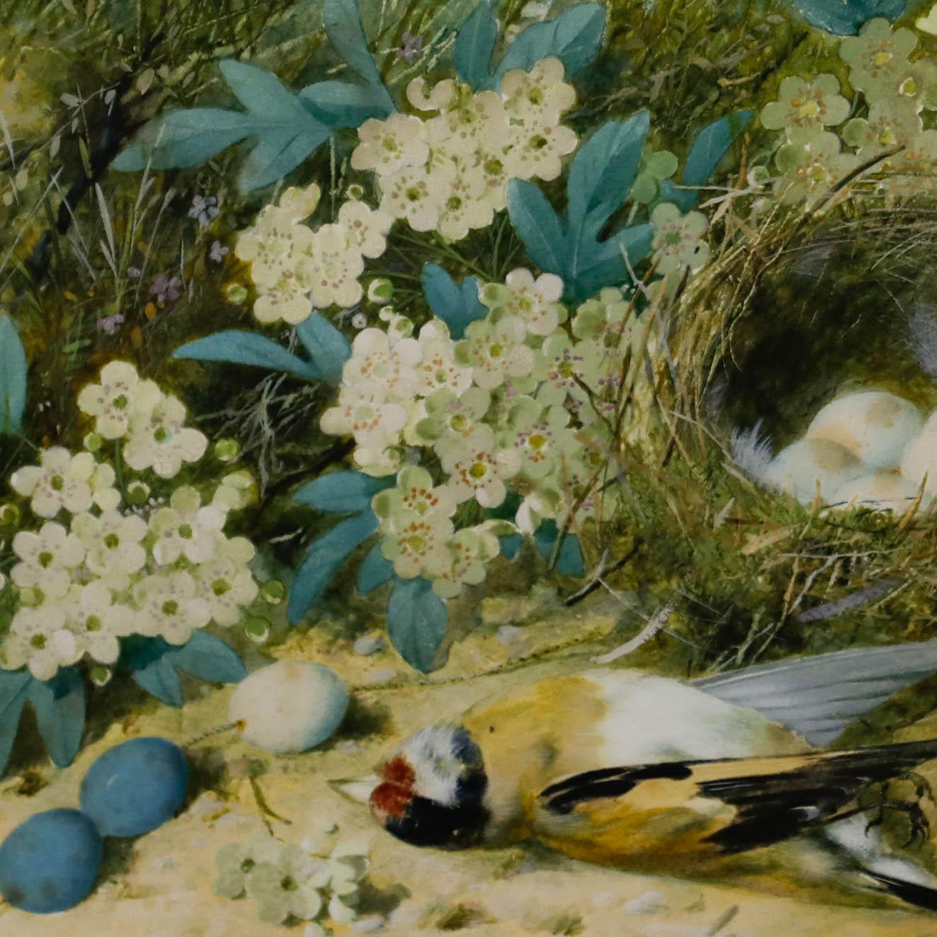 William Cruikshank (1848-1922) - Aquarell des späten 19. Jahrhunderts, Goldfinch-Nest im Angebot 3