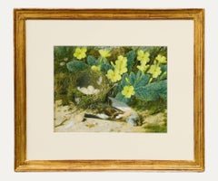 Antique William Cruikshank (1848-1922) - Watercolour, The Blue Tit's Nest