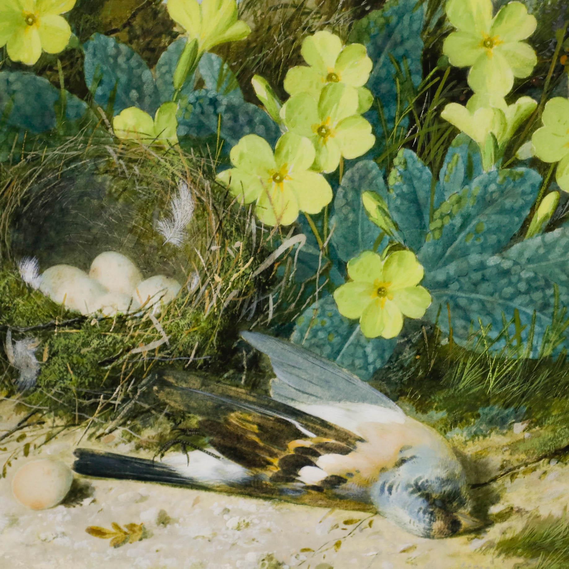 William Cruikshank (1848-1922) - Aquarell, Das blaue Tit's Nest im Angebot 3