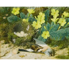 William Cruikshank (1848-1922) - Watercolour, The Blue Tit's Nest