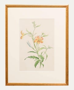 Madame F.C. Byrne (1789-1876) - Aquarell des 20. Jahrhunderts, Wildblume