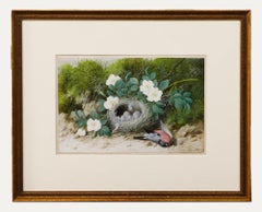 William Cruikshank (1848-1922) - Aquarelle encadrée, col de taureau
