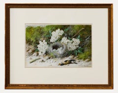 Antique William Cruikshank (1848-1922) - Framed Watercolour, Goldfinch Nest