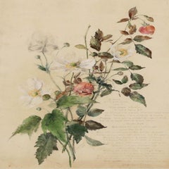 English School Late 19th Century Watercolour - Wild Roses