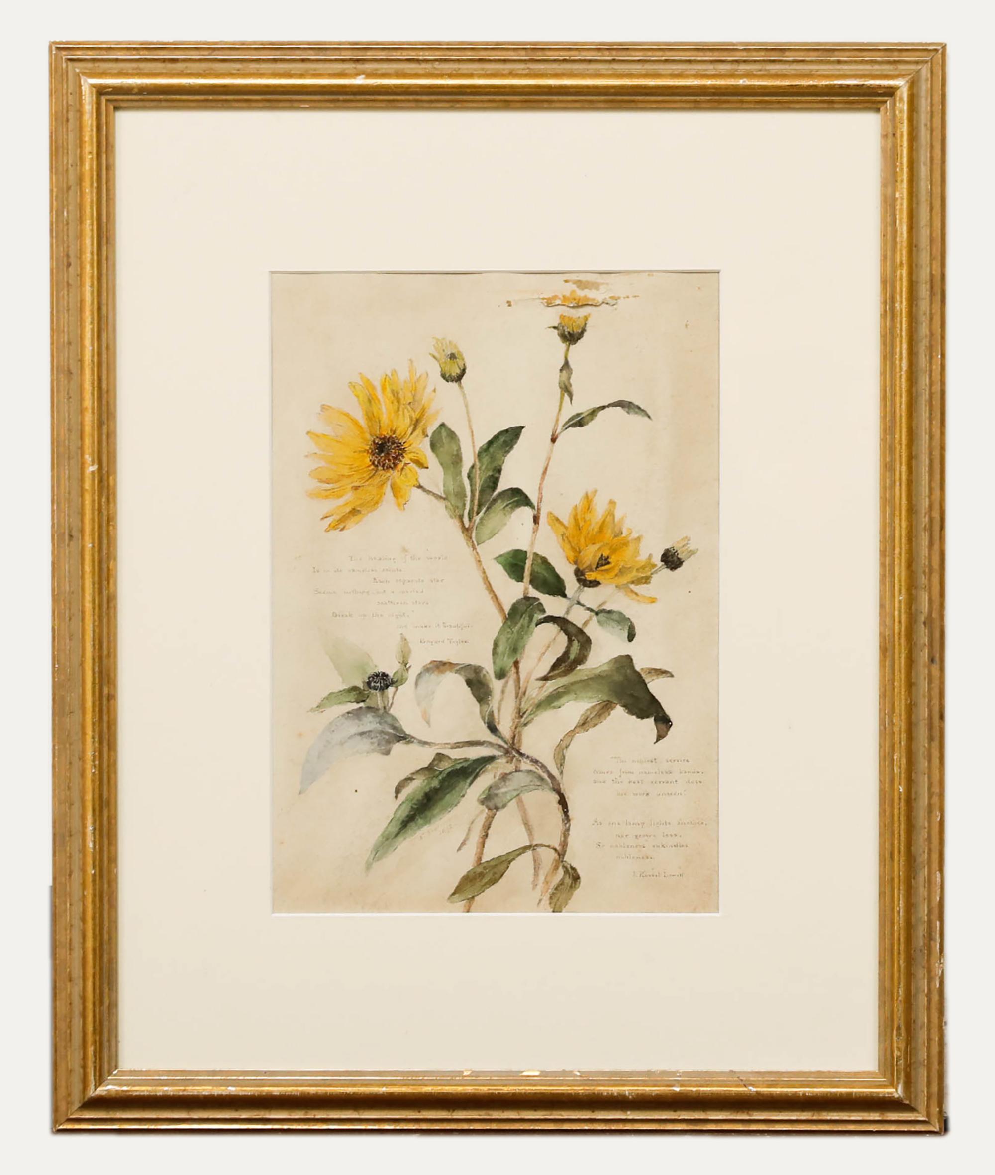 Still-Life Unknown - Aquarelle de la fin du 19e siècle de l'English School - Helianthus
