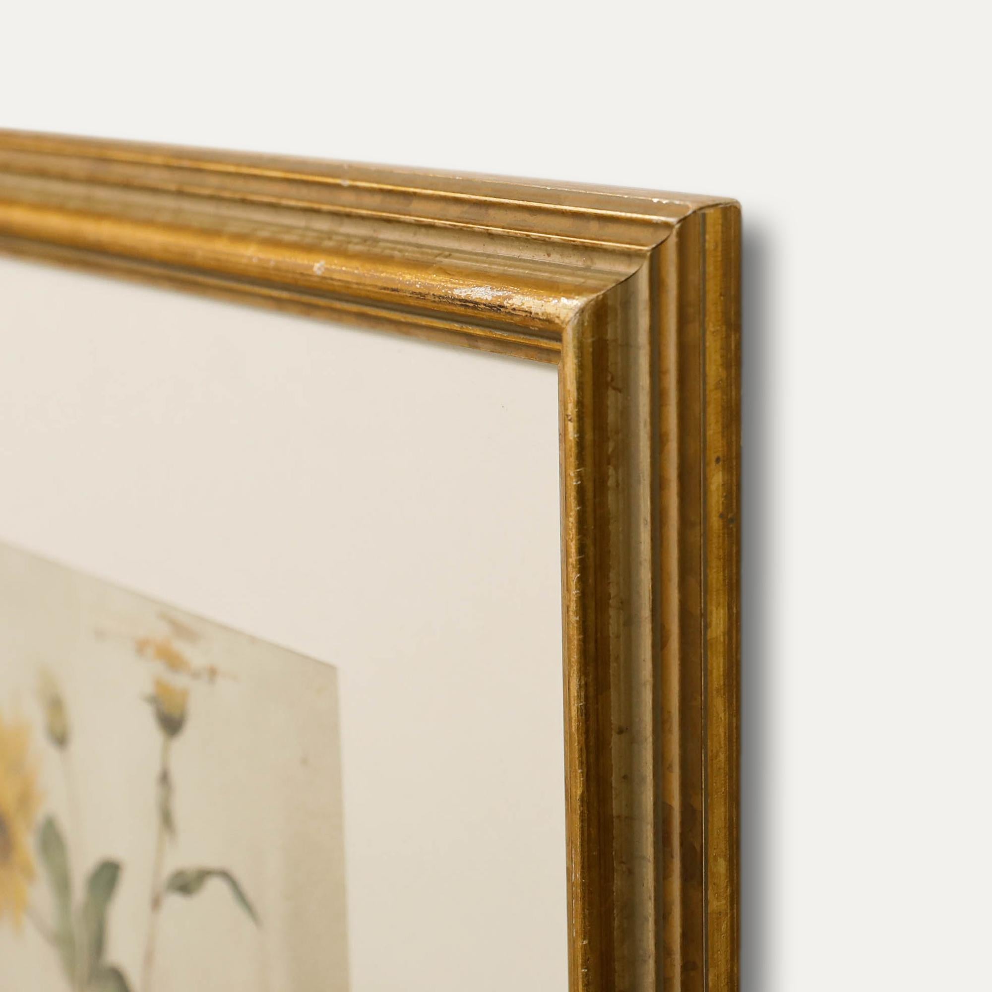 Aquarelle de la fin du 19e siècle de l'English School - Helianthus en vente 1
