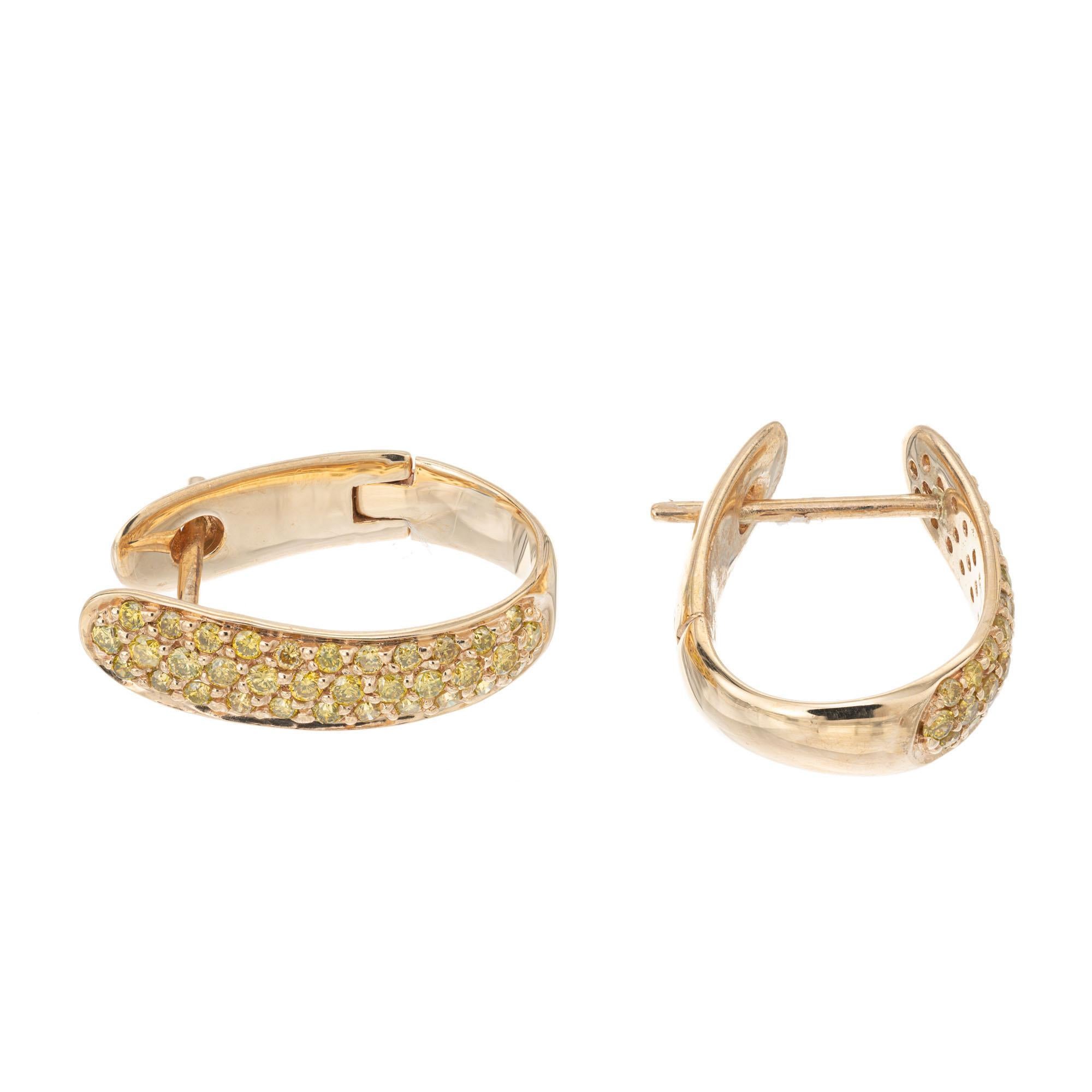 Diamond hoop earrings. Pave set round brilliant cut yellow diamonds in 14k yellow gold hoop earrings.

68 round brilliant cut yellow diamonds, approx. .57cts
14k yellow gold 
Stamped: 14k
Hallmark: SR
3.5 grams
Top to bottom: 17.9mm or .75