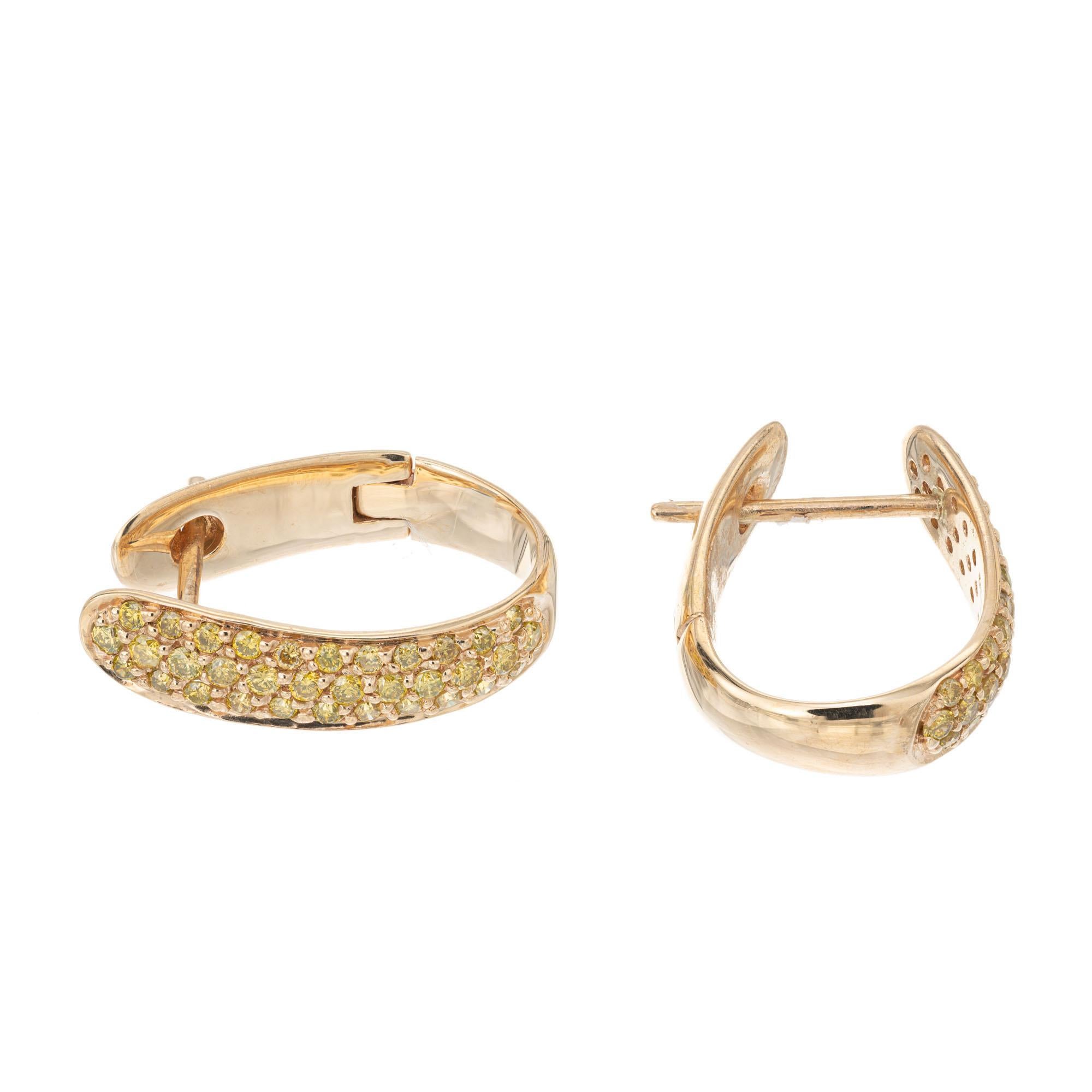 Orecchini a cerchio con diamanti. Orecchini a cerchio in oro giallo 14k con diamanti tondi taglio brillante incastonati.

68 diamanti gialli rotondi taglio brillante, circa 0,57 carati
oro giallo 14k 
Timbrato: 14k
Marchio di garanzia: SR
3,5