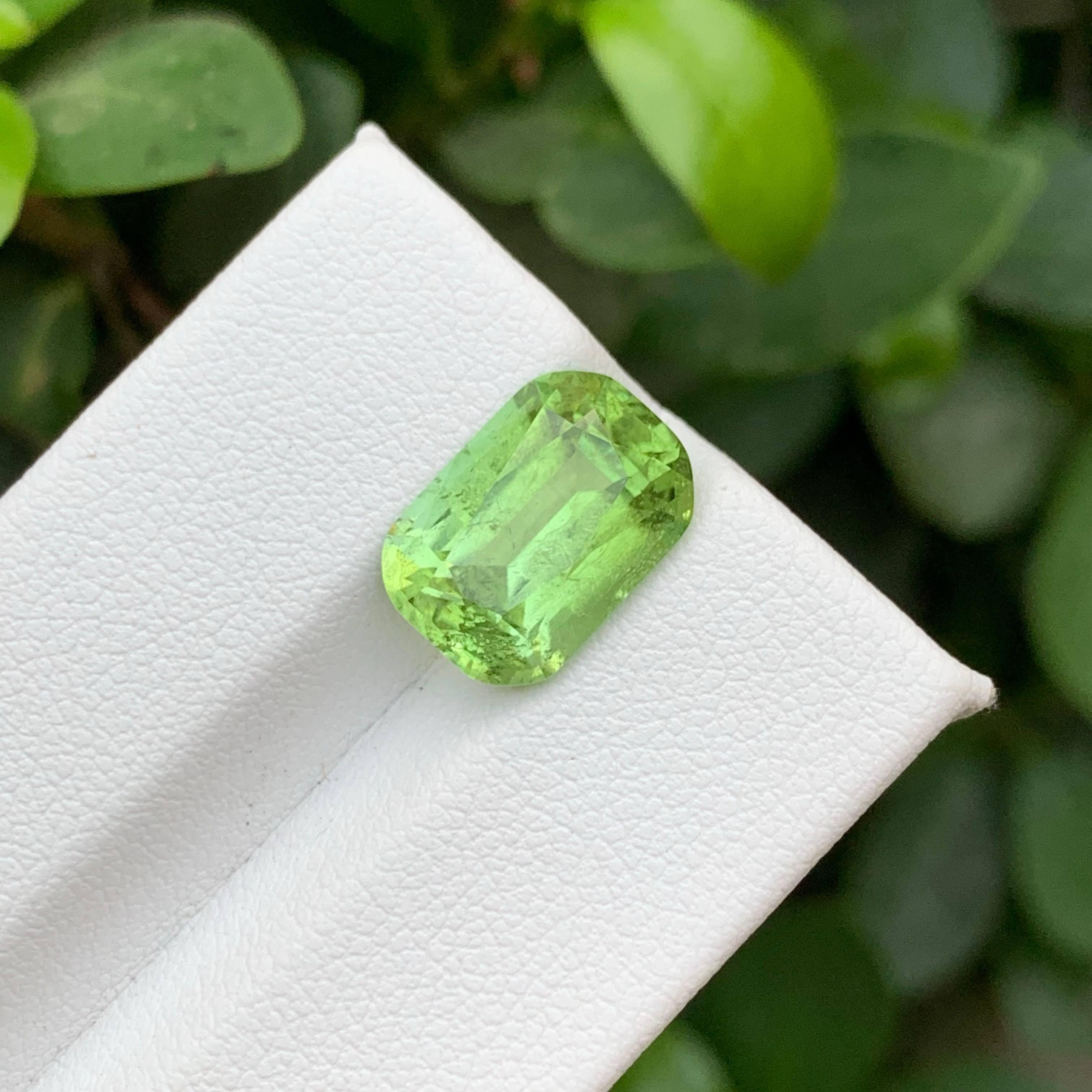5.70 Karat Natürlicher loser Apfelgrüner Peridot Cushion-Schliff Pakistanischer Edelstein im Zustand „Neu“ im Angebot in Bangkok, TH