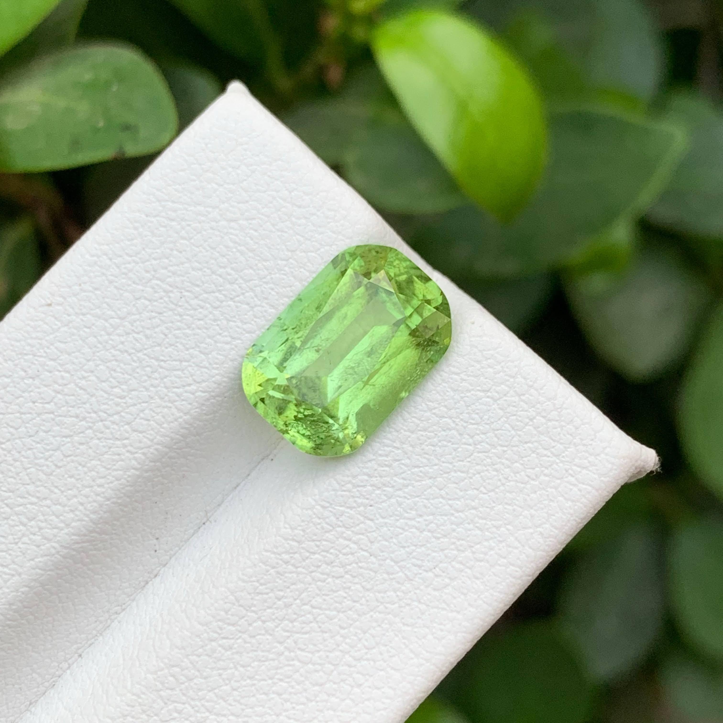 5.70 Karat Natürlicher loser Apfelgrüner Peridot Cushion-Schliff Pakistanischer Edelstein für Damen oder Herren im Angebot