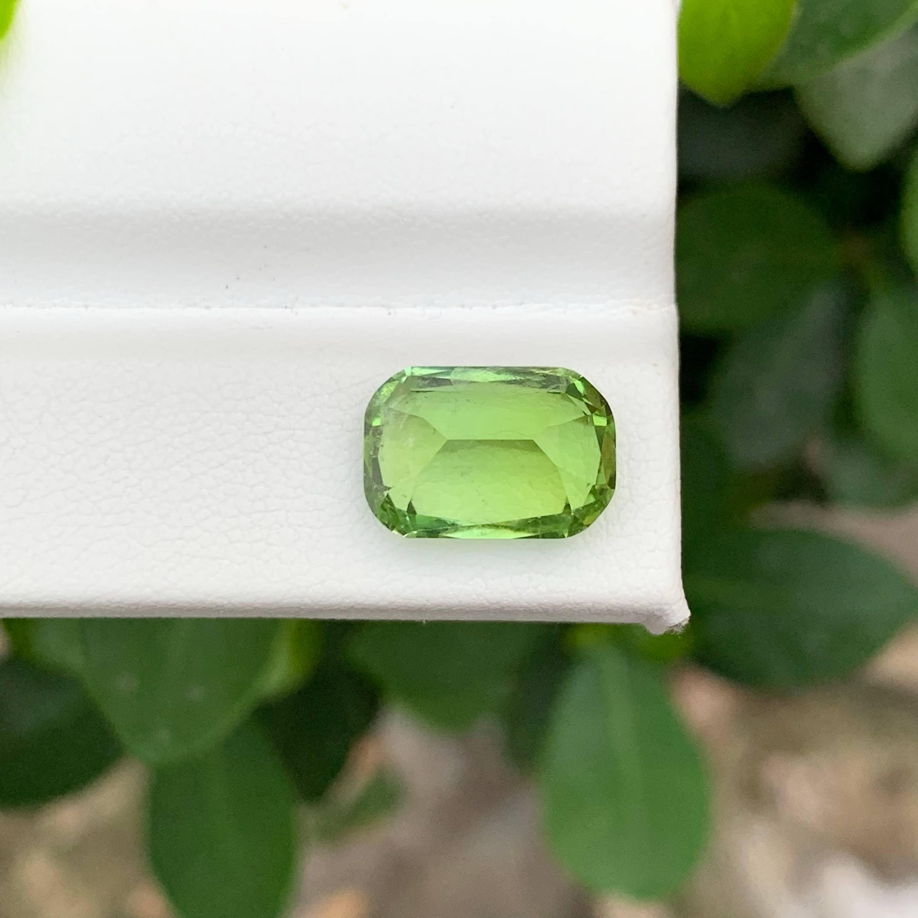 5.70 Karat Natürlicher loser Apfelgrüner Peridot Cushion-Schliff Pakistanischer Edelstein im Angebot 2