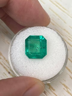 5.72 Carat 11x10.5 Freckled Forest Colombian Emerald - Asscher Cut Muzo Green