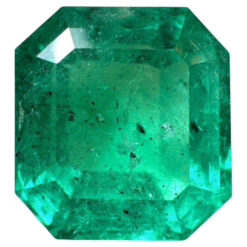 5.72 Carat 11x10.5 Freckled Forest Colombian Emerald - Asscher Cut Muzo Green