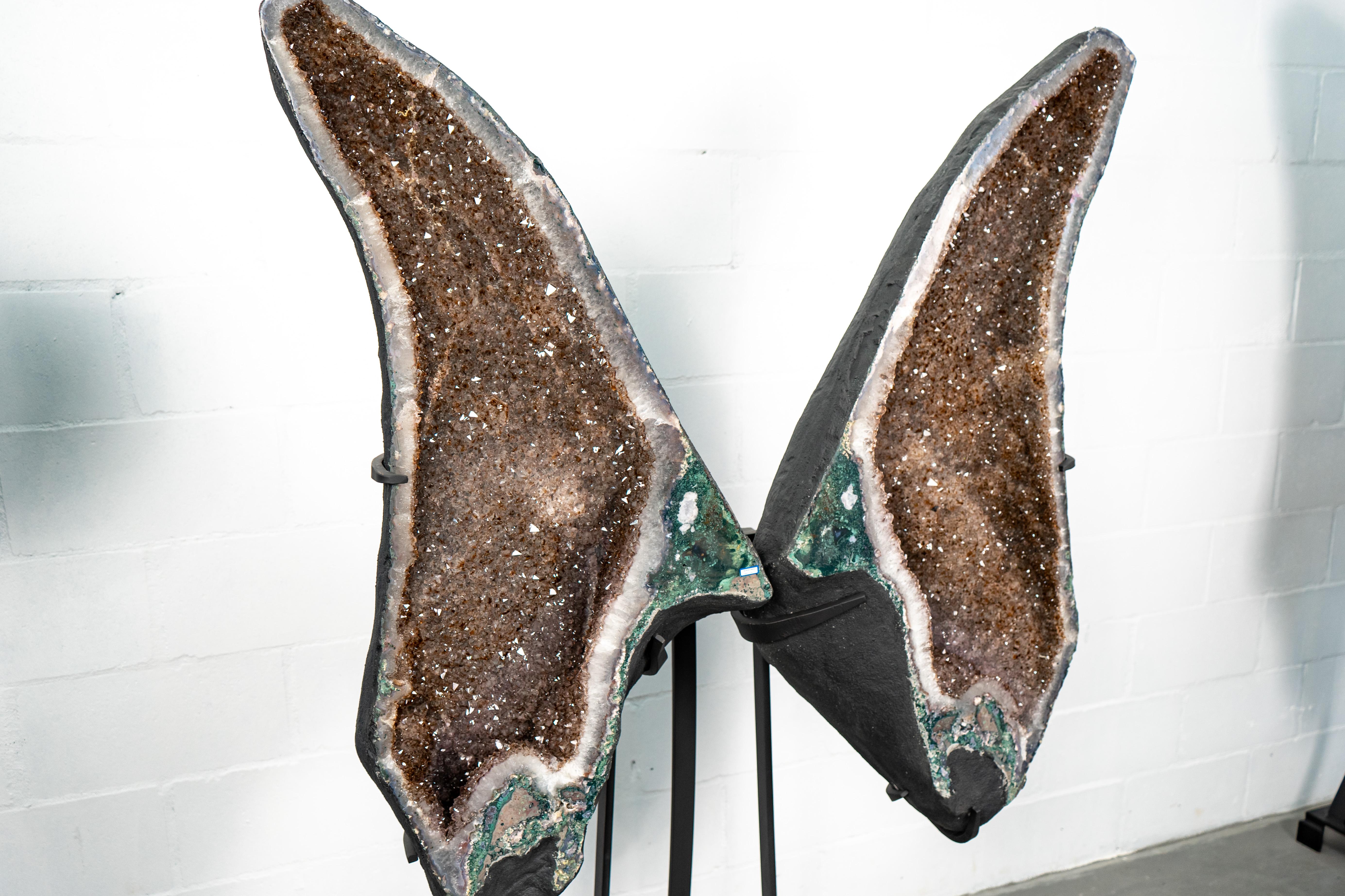 A Giant Centerpiece: A Fabulous Amethyst Geode Wings with Goethite and Perfect Butterfly Shape

▫️ Description

A pair of Amethyst Geode Wings featuring a rare and aesthetic butterfly formation. These geodes are truly one-of-a-kind, showcasing