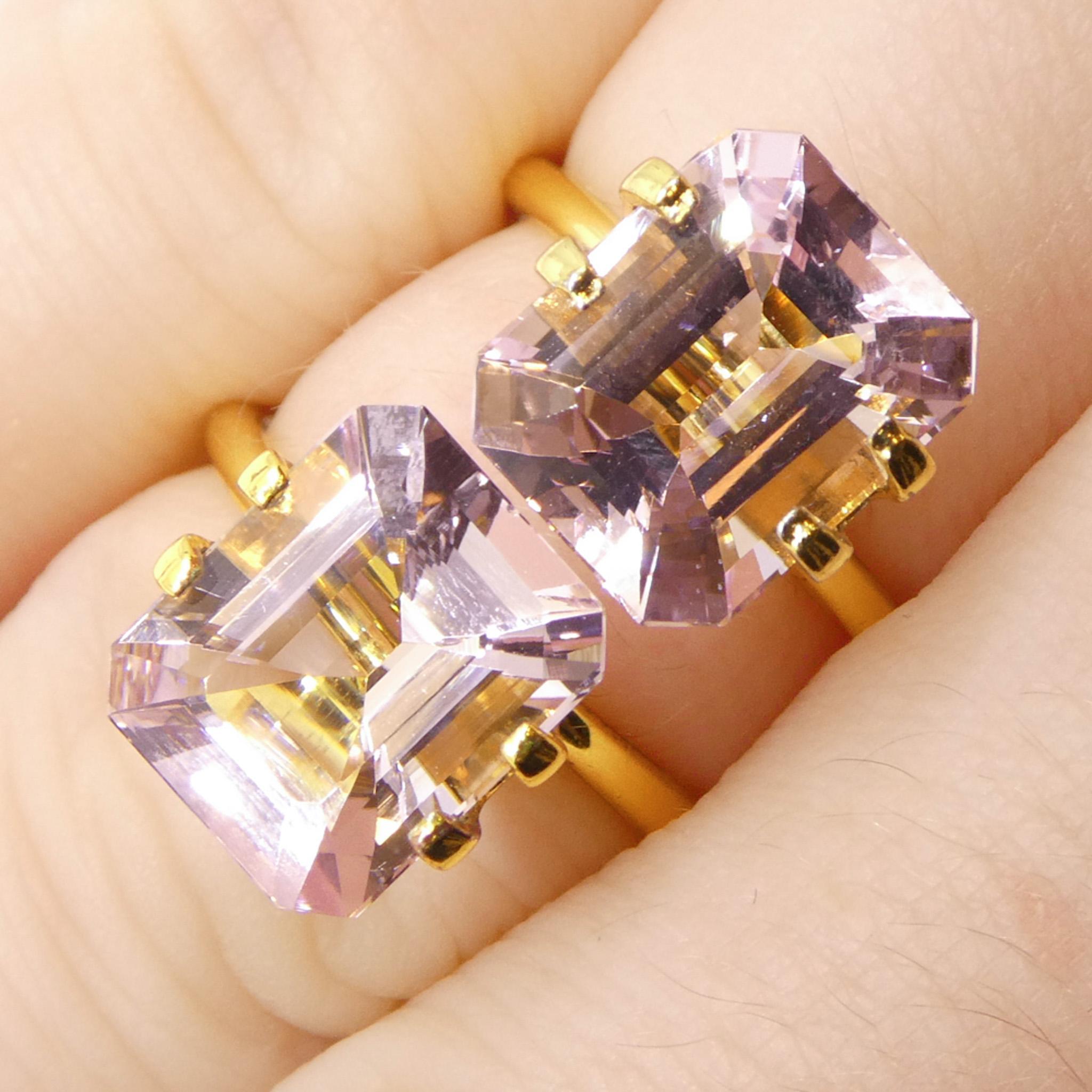 Description :

Type de gemme : Morganite 
Nombre de pierres : 2
Poids : 5,74 cts
Dimensions : 10,82, 10,86 x 8,90, 8,84, x 5,63, 5,69 mm
Forme : Octogonal/Emeraude
Coupe de la couronne de style : Coupe en escalier
Pavillon des styles de coupe :