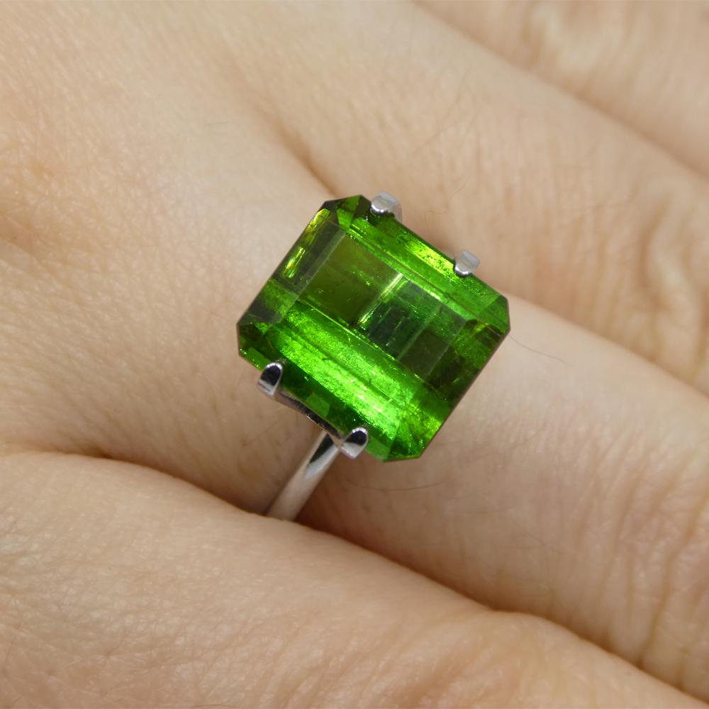 Description:

Gem Type: Tourmaline
Number of Stones: 1
Weight: 5.76 cts
Measurements: 10.55 x 9.59 x 6.21 mm
Shape: Emerald Cut
Cutting Style Crown: Step Cut
Cutting Style Pavilion: Step Cut
Transparency: Transparent
Clarity: Very Slightly Included: