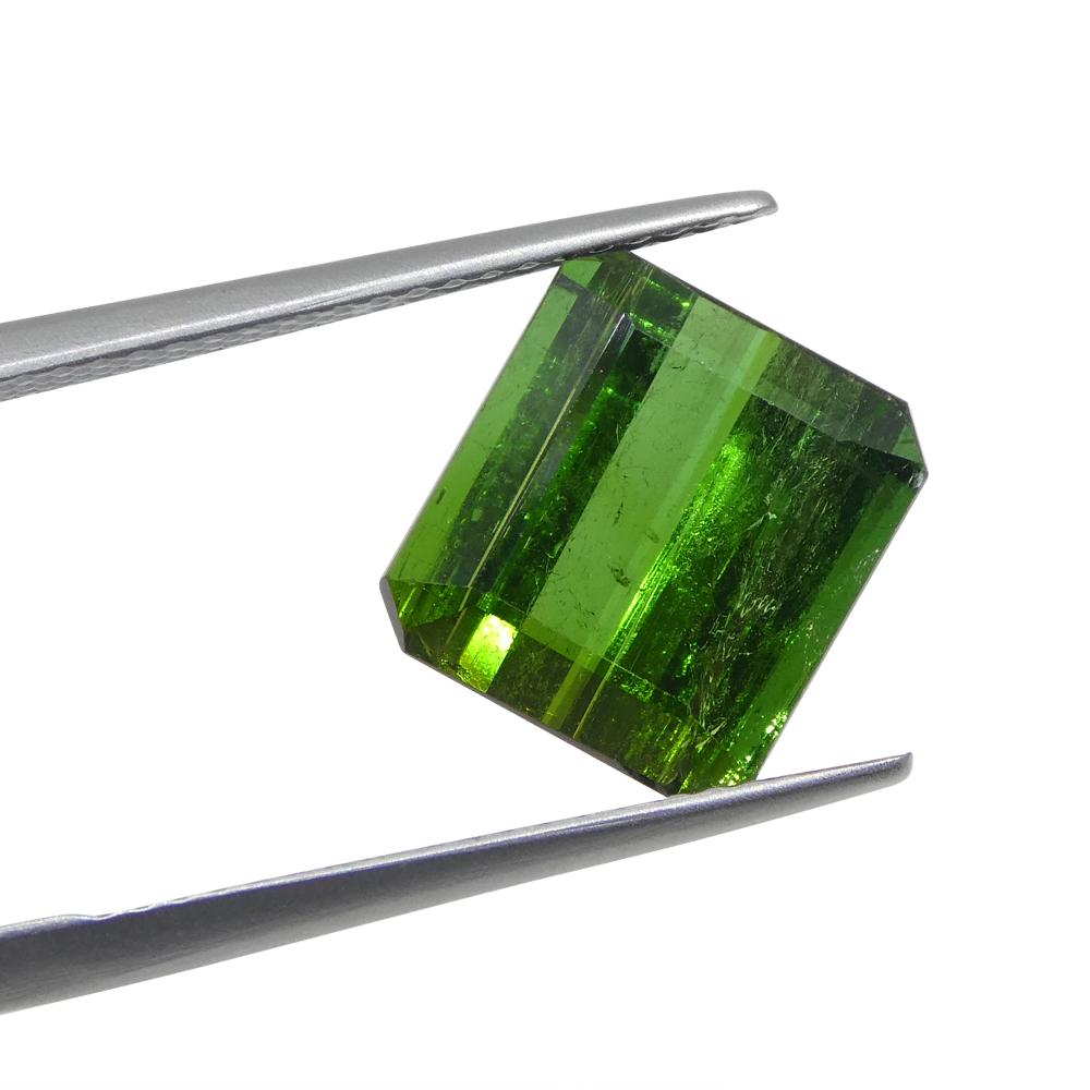 5.76 Carat Emerald Cut Green Tourmaline from Brazil In New Condition For Sale In Toronto, Ontario