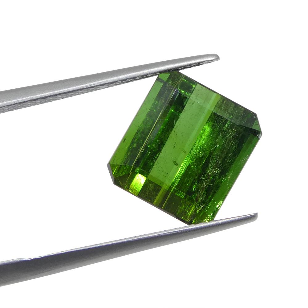 Taglio smeraldo Tormalina verde taglio smeraldo 5,76 in vendita