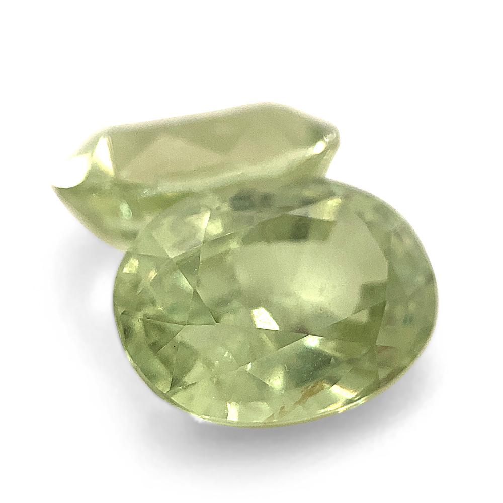 5.79ct Pair Oval Mint Green Garnet from Merelani, Tanzania For Sale 6
