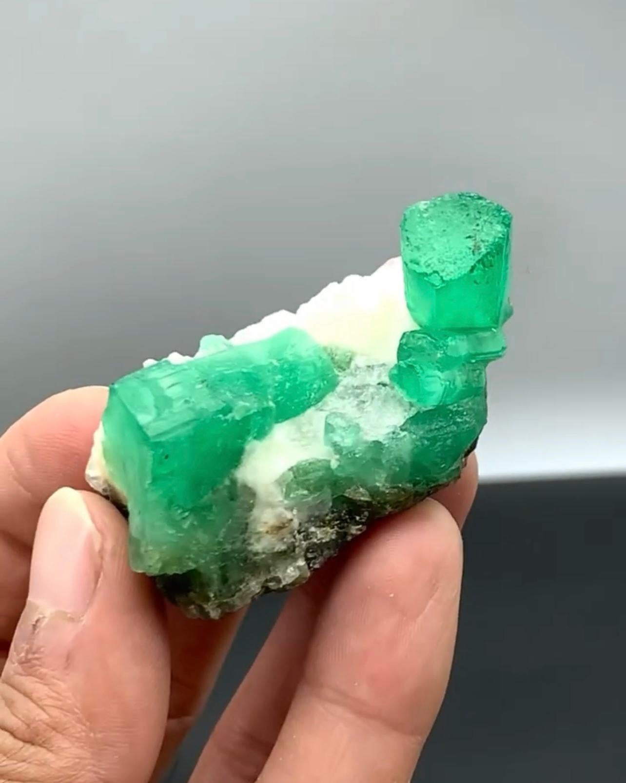 Adam Style 58 Grams Vibrant Green Emerald Crystals On Calcite Matrix From Pakistan For Sale