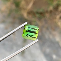 5.80 Carats Natural Green Tourmaline Loose Gemstone (Tourmaline verte en vrac)
