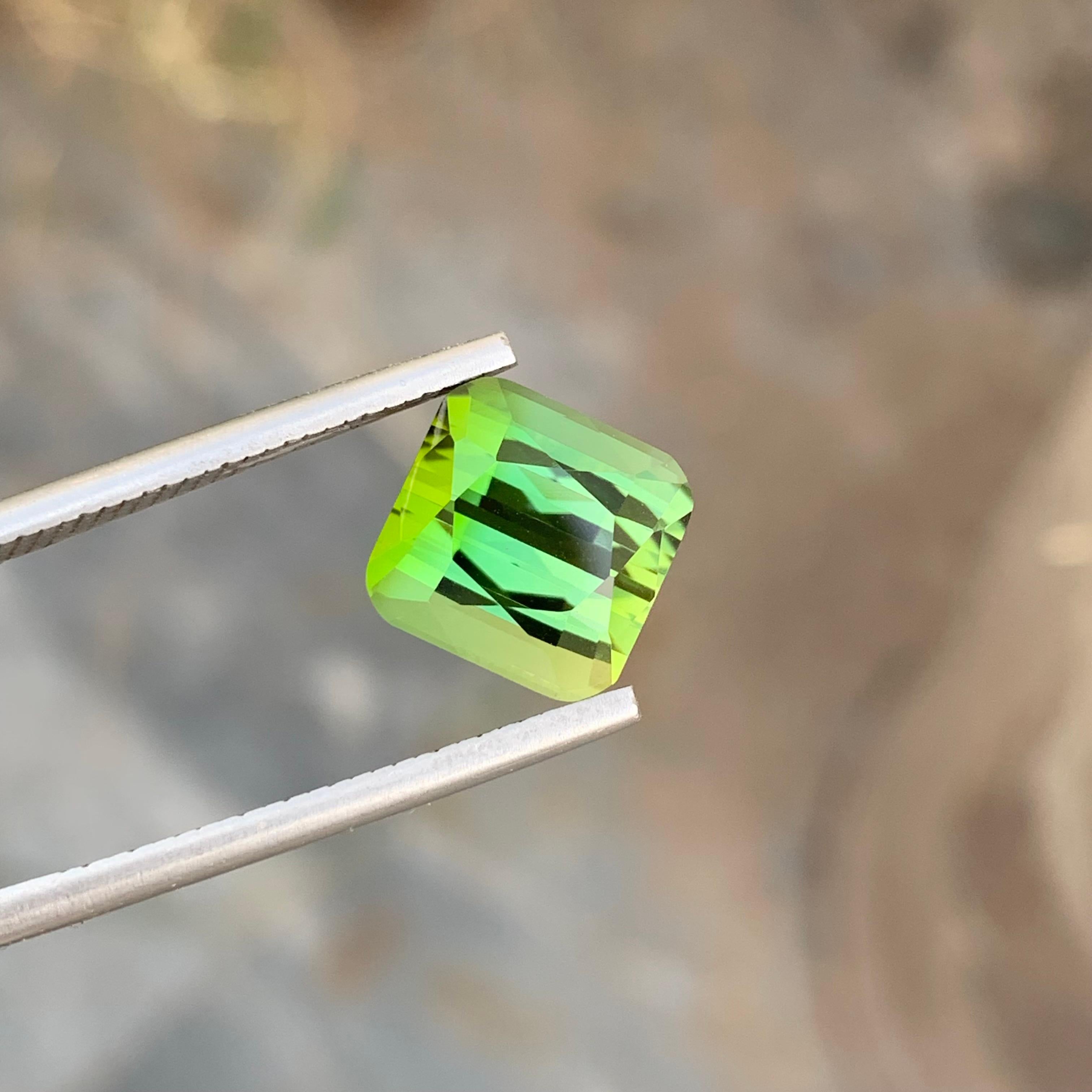 5.80 Carats Natural Green Tourmaline Loose Gemstone Unisexe en vente