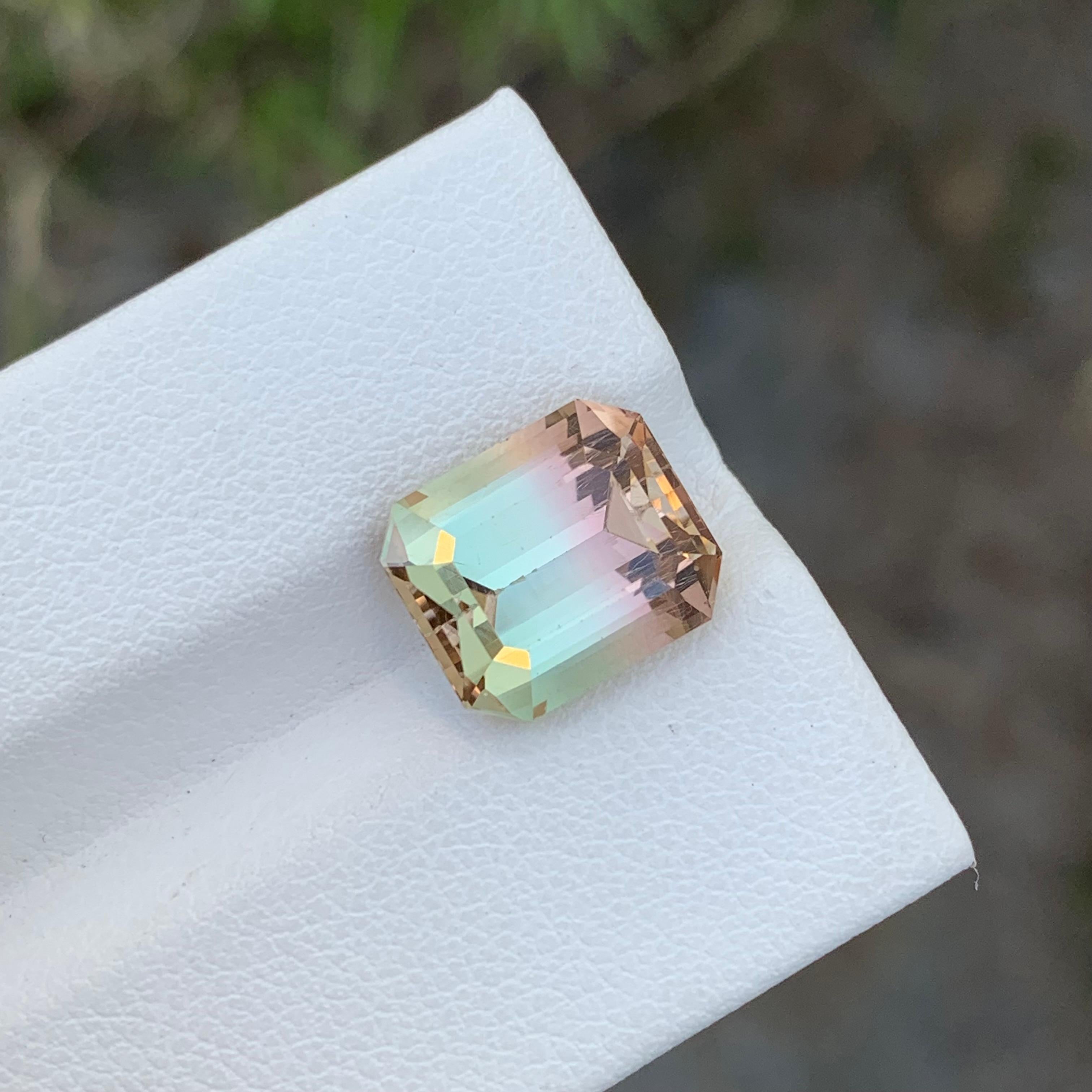 Loser zweifarbiger Turmalin

Gewicht: 5,85 Karat
Abmessung: 1.1 x 9.5 x 6.9 Mm
Farbe: Pfirsichrosa und Mintgrün 
Herkunft: Afghanistan
Zertifikat: Auf Anfrage
Behandlung: Nicht

Der Turmalin ist ein faszinierender Edelstein, der für seine