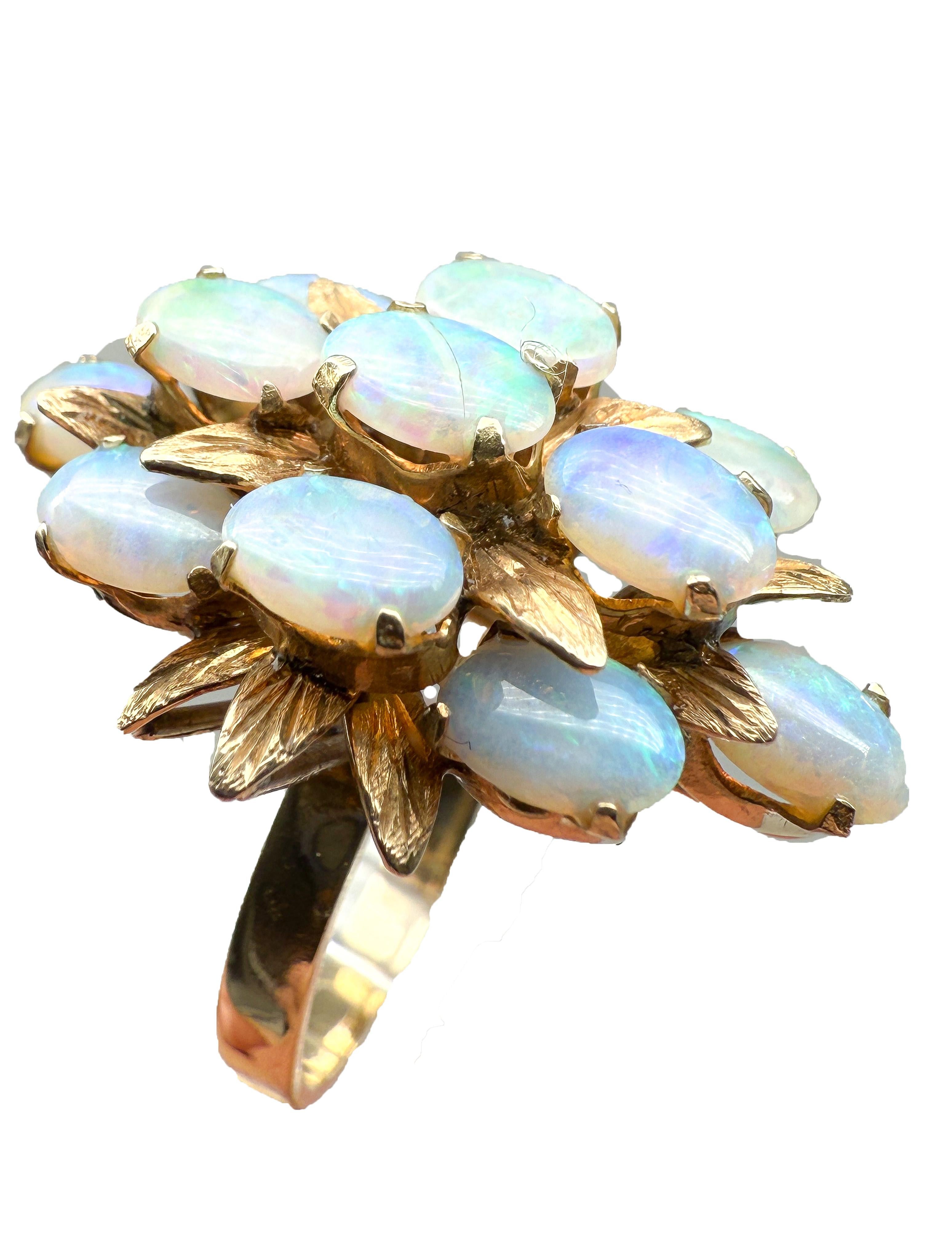 Dieser elegante Ring aus 14-karätigem Gelbgold besticht durch seine warme Ausstrahlung und das faszinierende Farbenspiel seiner natürlichen Opale. Die elf fein geschliffenen Edelsteine sind in einer klassischen Zackenfassung gefasst und zeigen bei