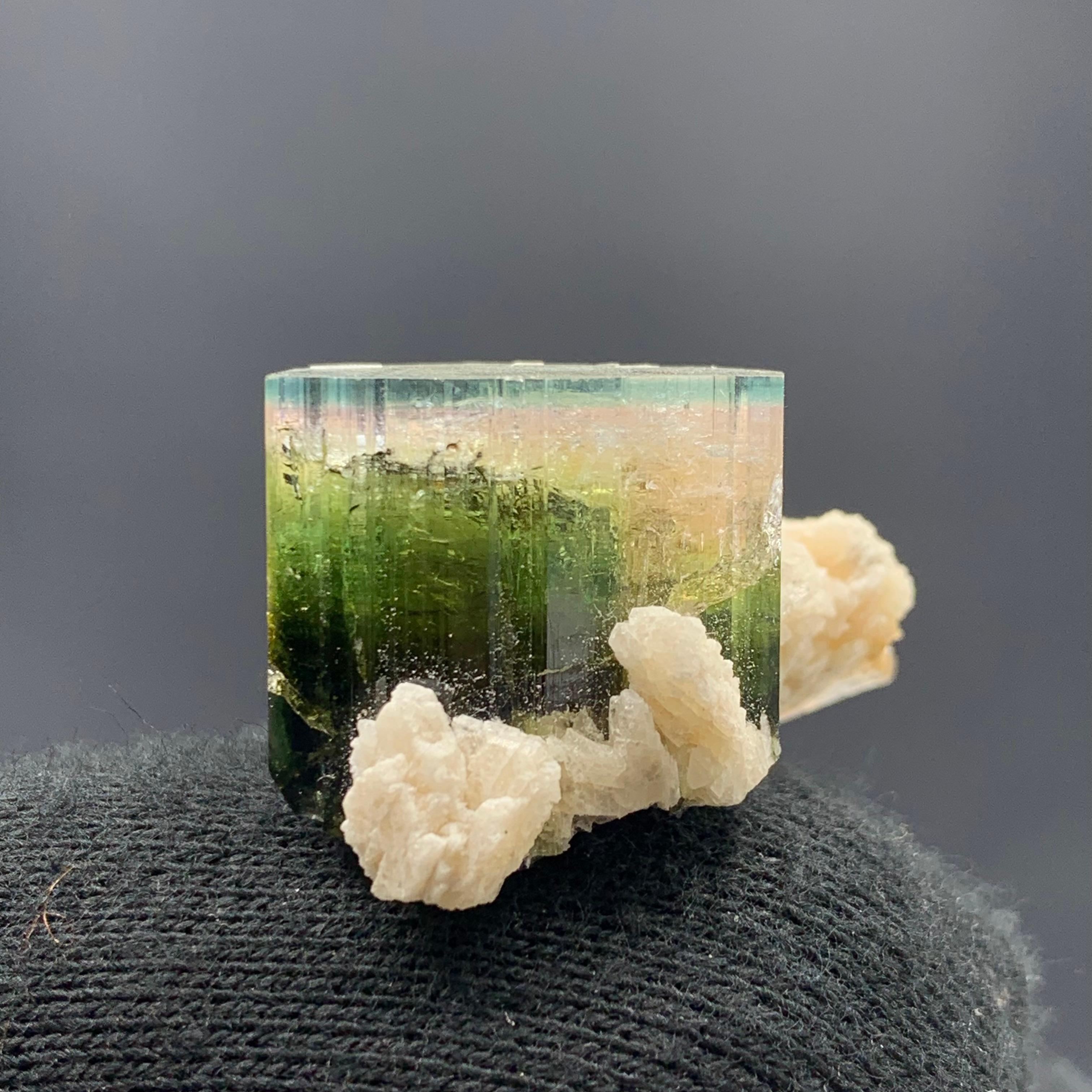 58.50 Carat Blue Cap Tri Color Tourmaline With Albite From Afghanistan 

Weight: 58.50 Carat 
Dimension:  1.8 x 2.9 x 2.2 
Origin: Paprook, Afghanistan 

Tourmaline is a crystalline silicate mineral group in which boron is compounded with elements