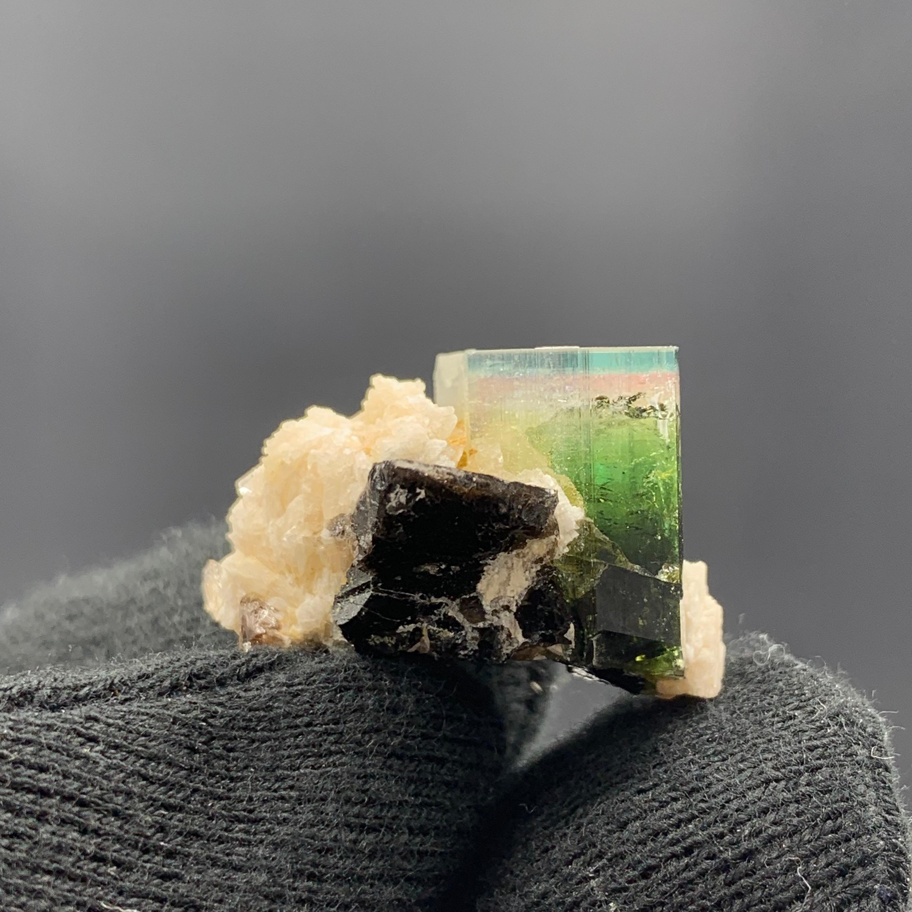 Other 58.50 Carat Blue Cap Tri Color Tourmaline With Albite From Afghanistan  For Sale