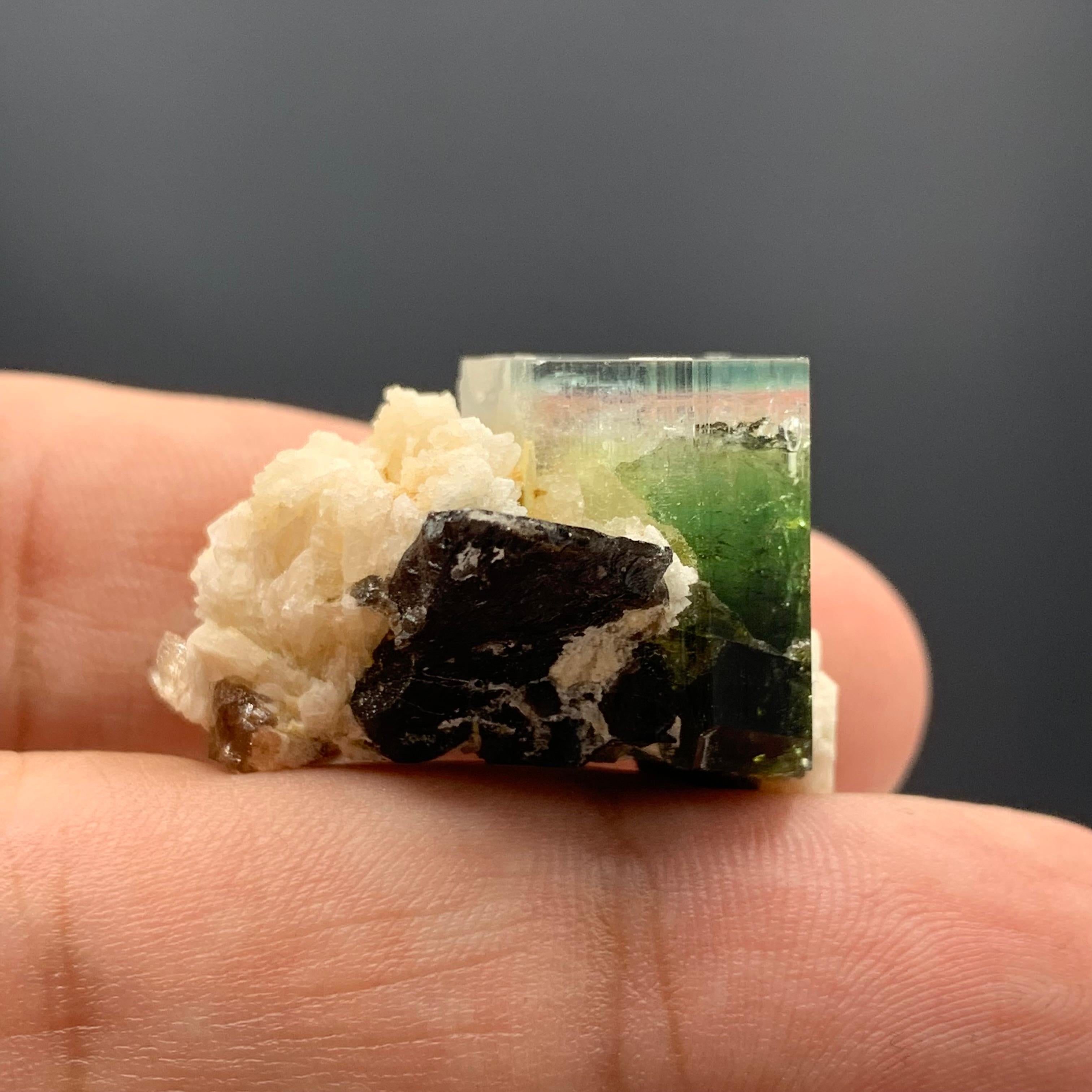 18th Century and Earlier 58.50 Carat Blue Cap Tri Color Tourmaline With Albite From Afghanistan  For Sale
