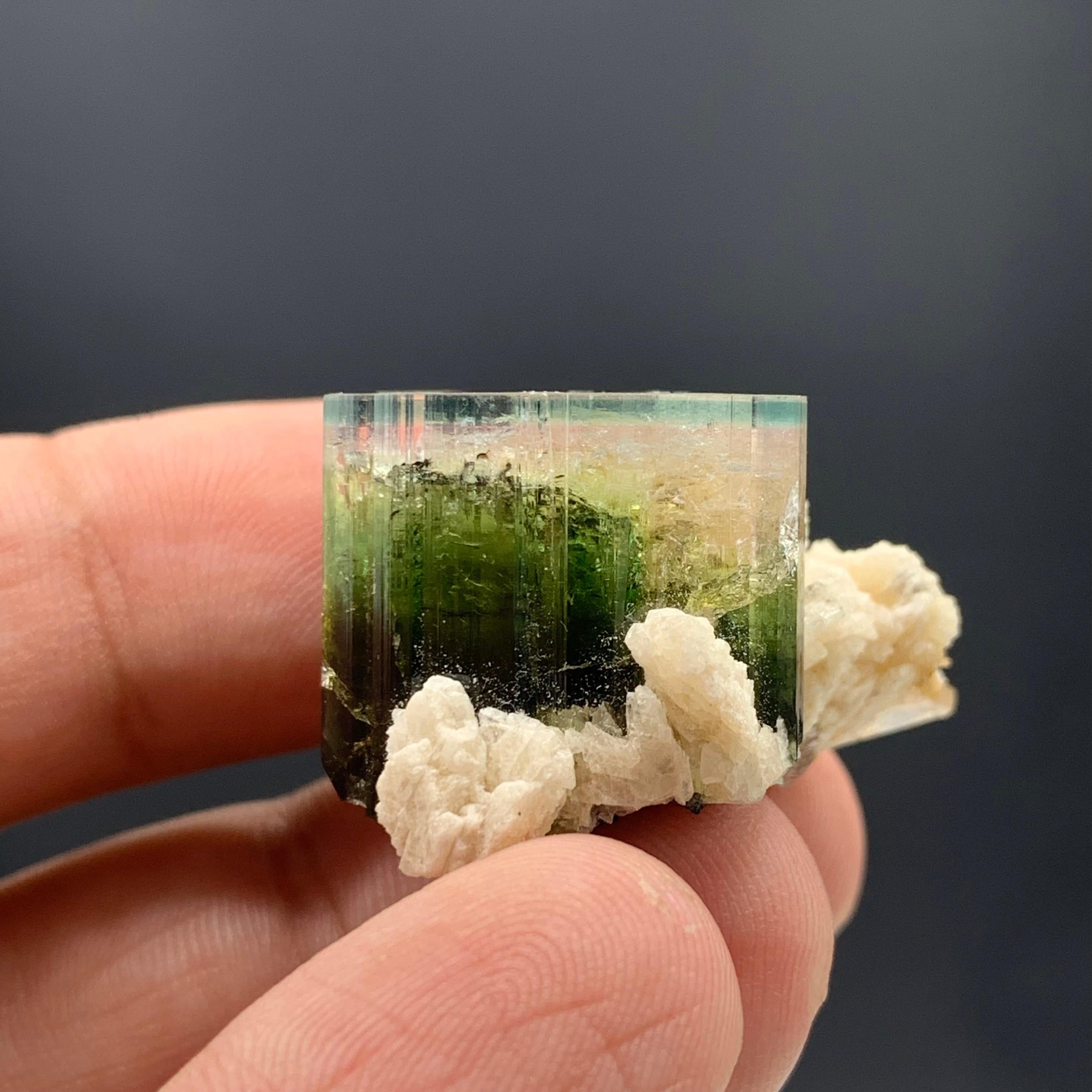 58.50 Carat Blue Cap Tri Color Tourmaline With Albite From Afghanistan  For Sale 1