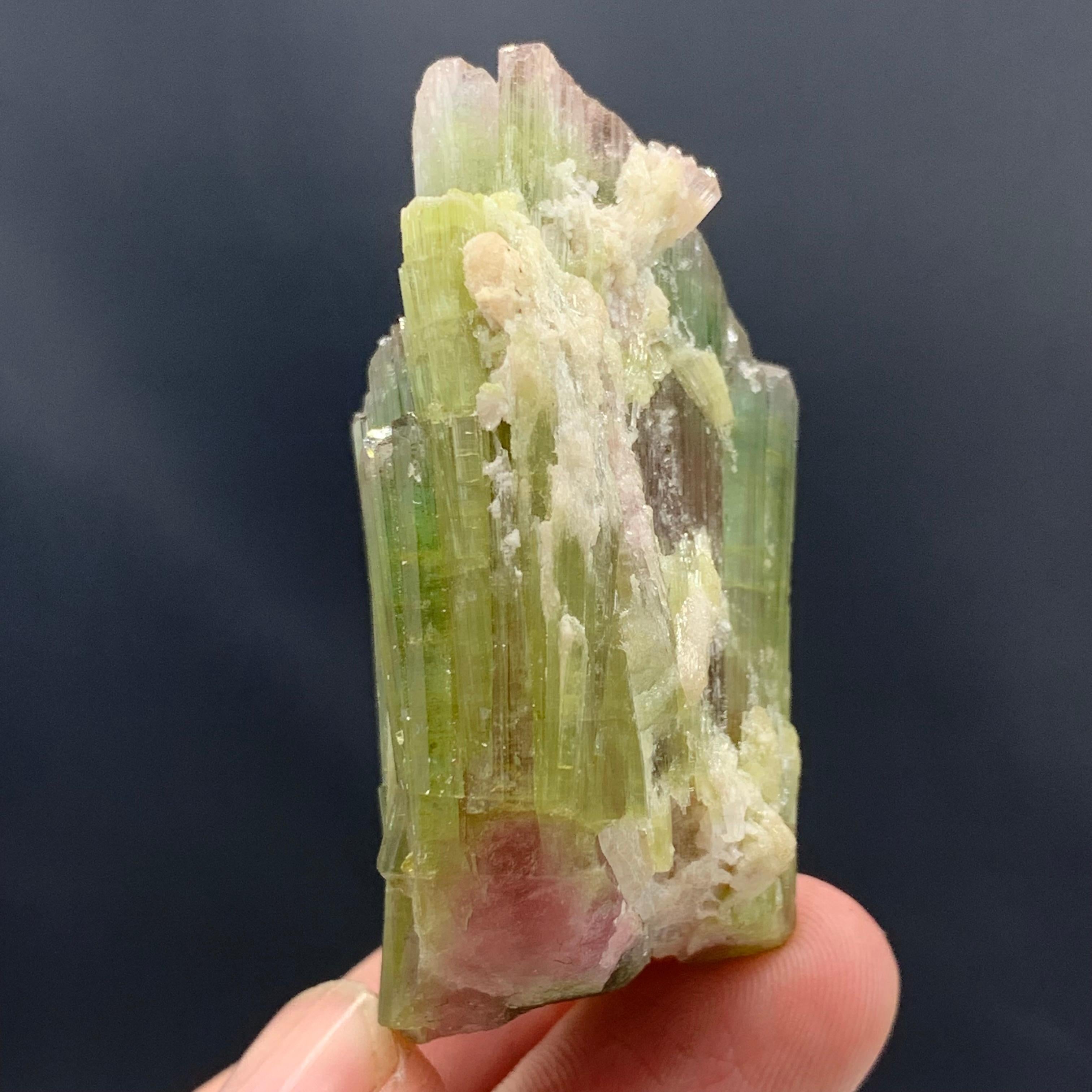 58.54 Gram Tri Color Tourmaline Crystal Cluster From Paprook, Afghanistan  For Sale 4
