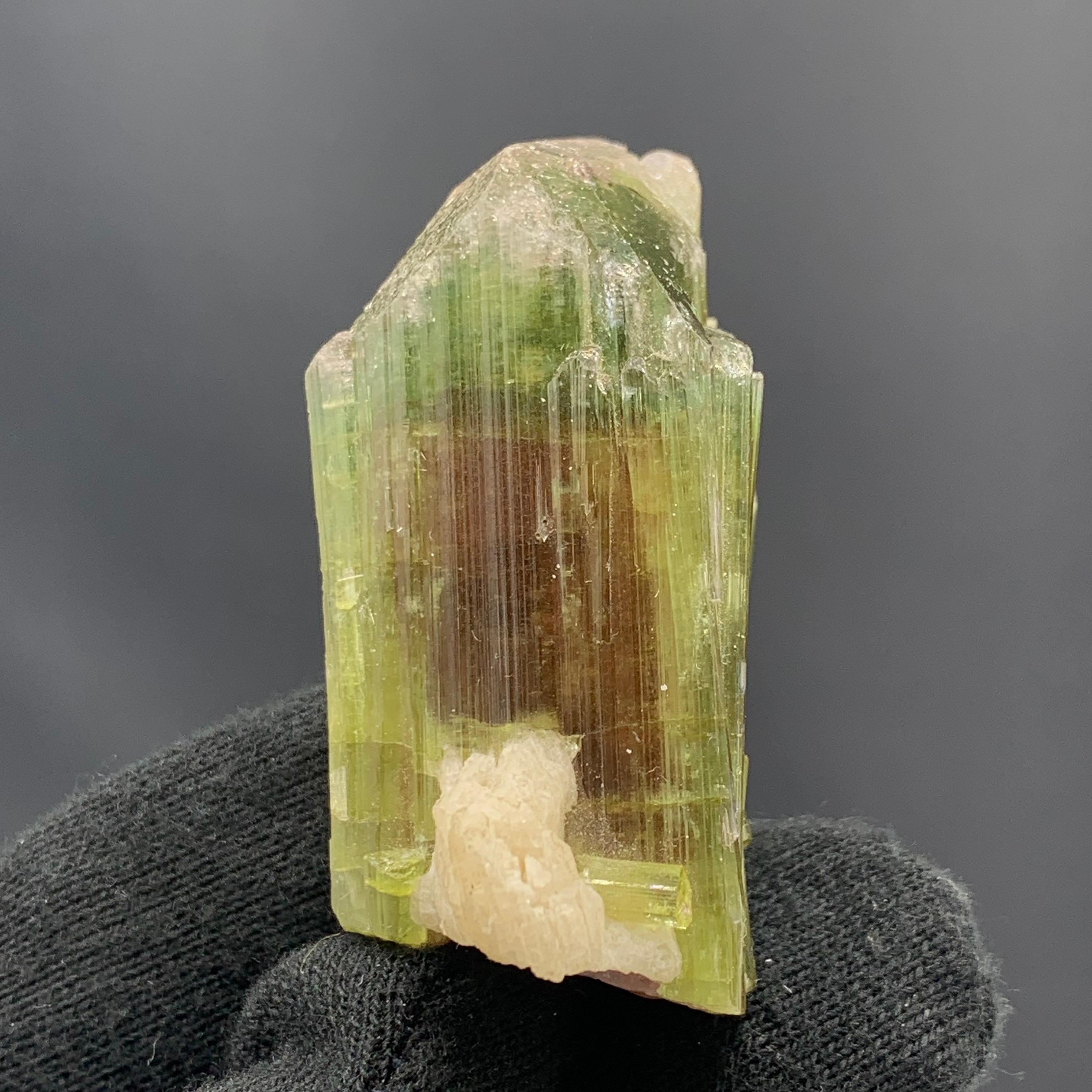 58.54 Gram Tri Color Tourmaline Crystal Cluster From Paprook, Afghanistan  In Good Condition For Sale In Peshawar, PK