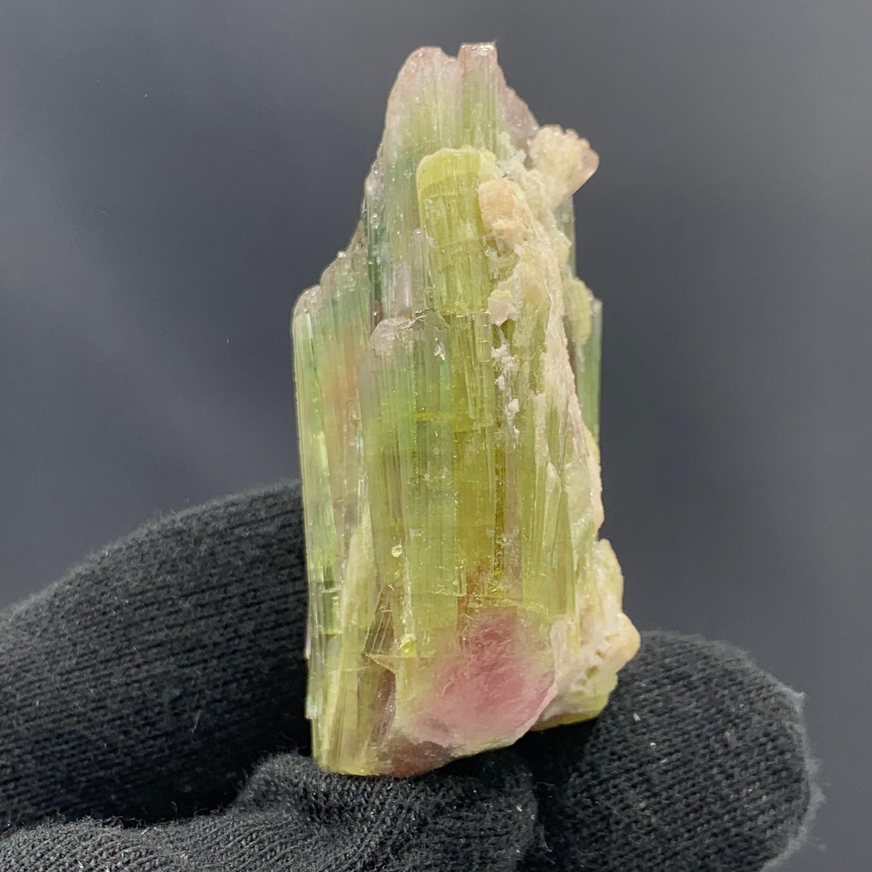 Rock Crystal 58.54 Gram Tri Color Tourmaline Crystal Cluster From Paprook, Afghanistan  For Sale