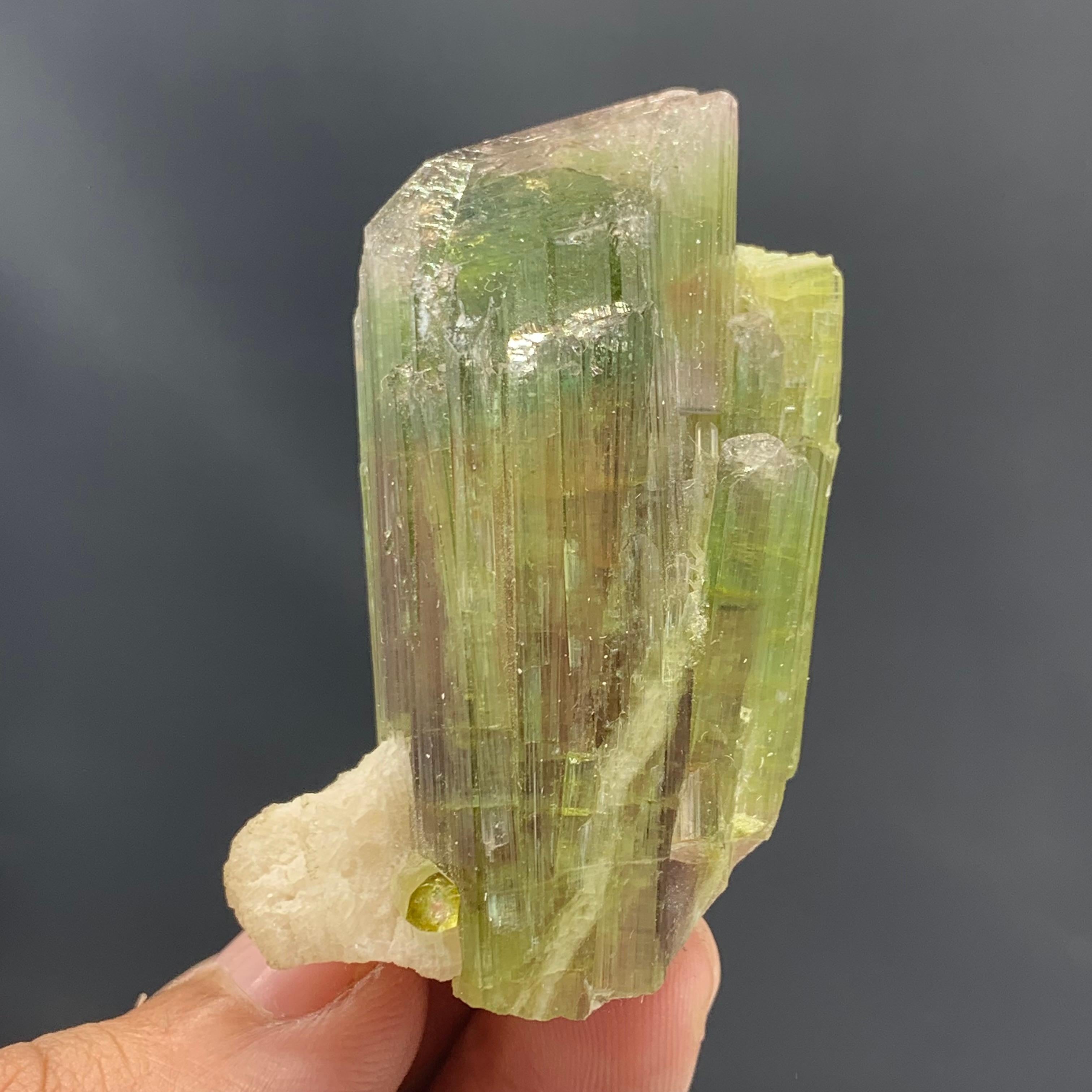58.54 Gram Tri Color Tourmaline Crystal Cluster From Paprook, Afghanistan  For Sale 1