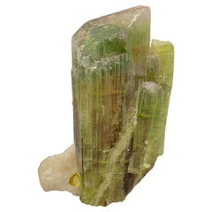 Pochette en cristal de tourmaline tricolore de 58,54 grammes provenant de Paprook, Afghanistan 