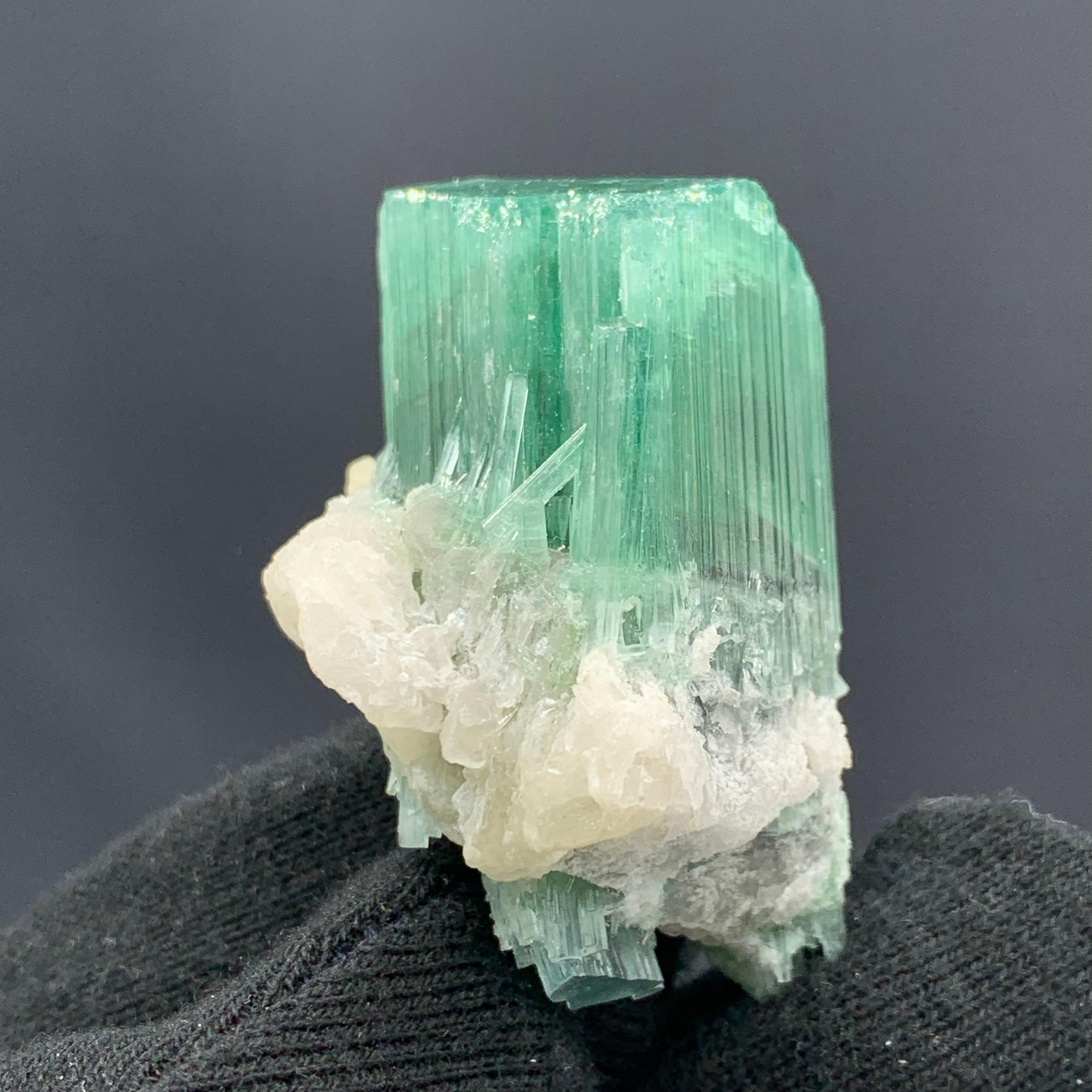 58.67 Gram Amazing Green Seafoam Tourmaline Specimen From Kunar, Afghanistan 

Weight: 58.67 Gram
Dimension: 5.1 x 3.4 x 3.1 Cm
Origin: Kunar, Afghanistan 

Tourmaline is a crystalline silicate mineral group in which boron is compounded with