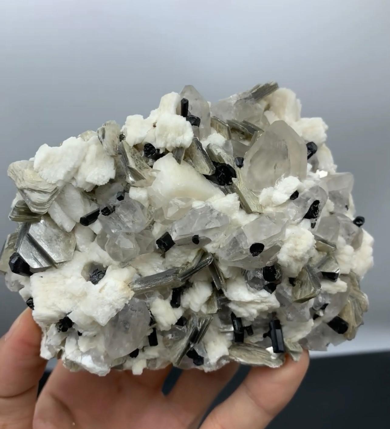 Informazioni sul prodotto:

Tipo di esemplare: Schorl con Albite e Muscovite

Peso: 591 grammi

Dimensioni: H. 9 x L. 12 x P. 6 cm

Origine: Distretto di Skardu, provincia di Gilgit Baltistan, Pakistan

Trattamento: Nessuno

Descrizione: 

Questo
