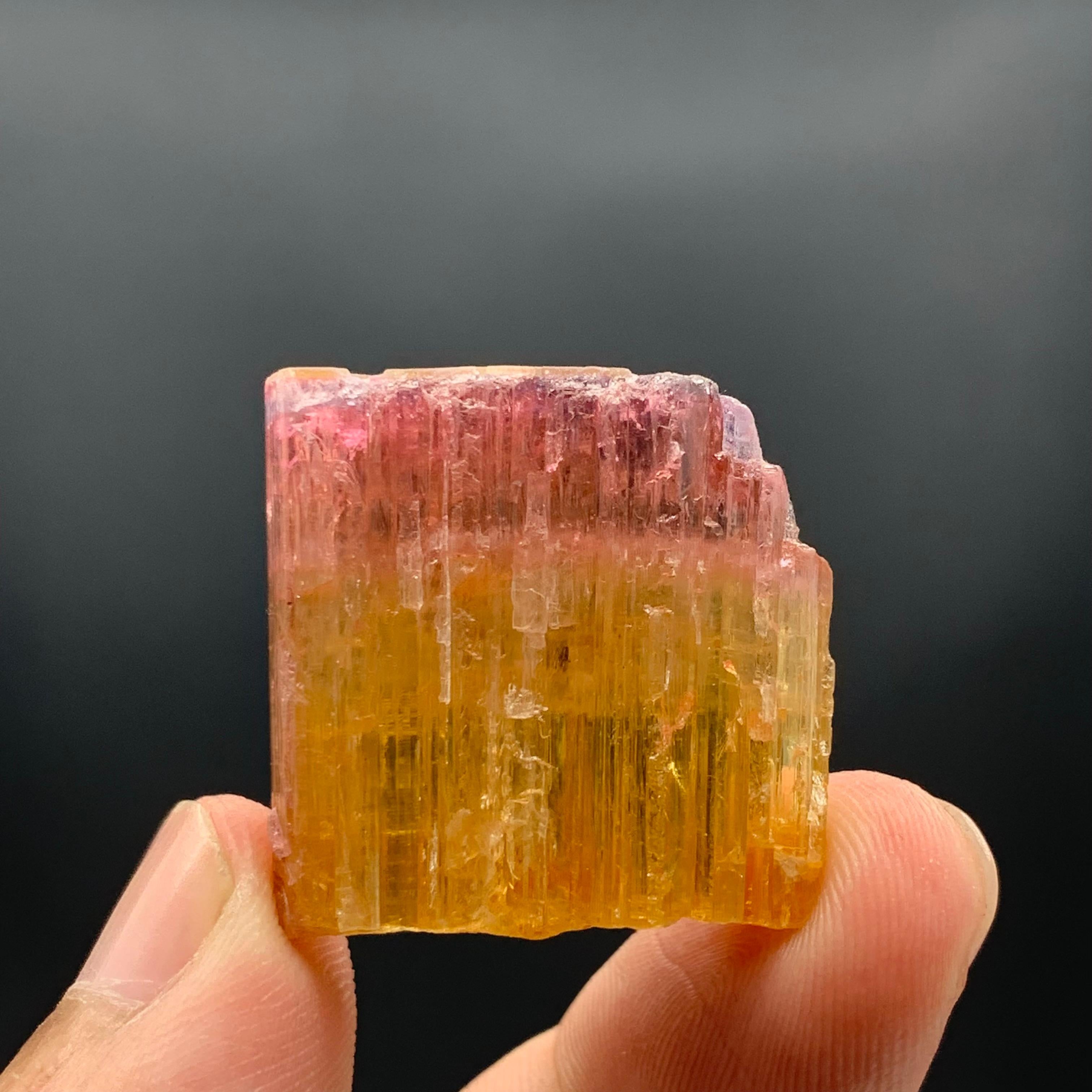 59.15 Carat Beautiful Bi Color Tourmaline Crystal From Paprook Mine, Afghanistan For Sale 2