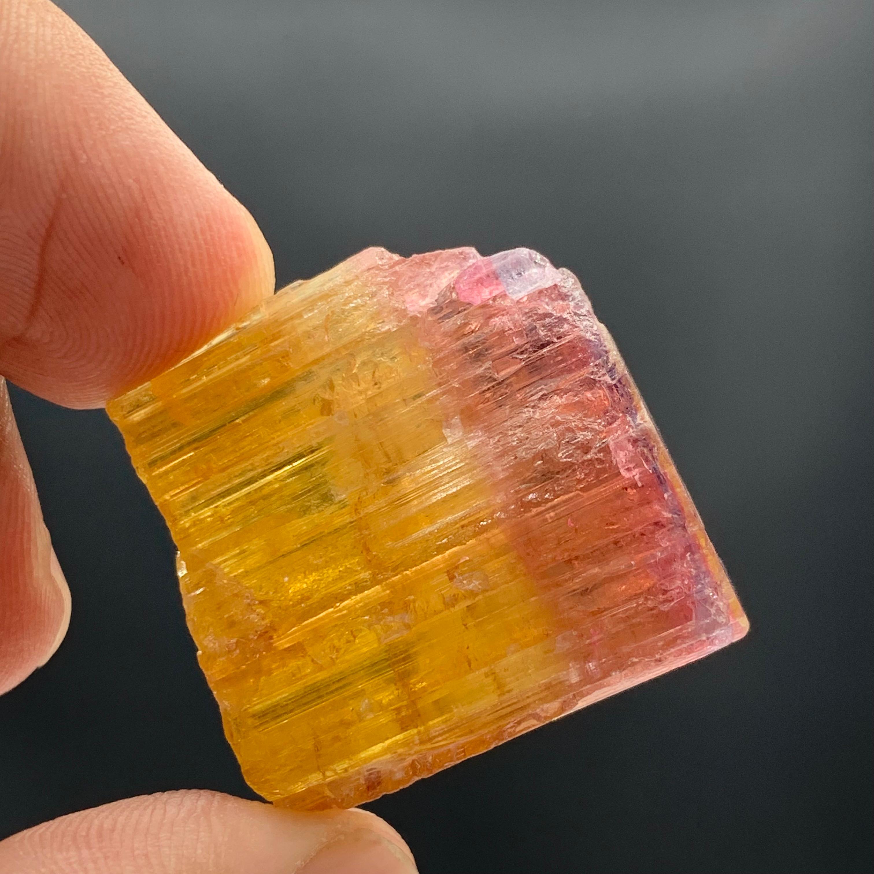 59.15 Carat Beautiful Bi Color Tourmaline Crystal From Paprook Mine, Afghanistan For Sale 3