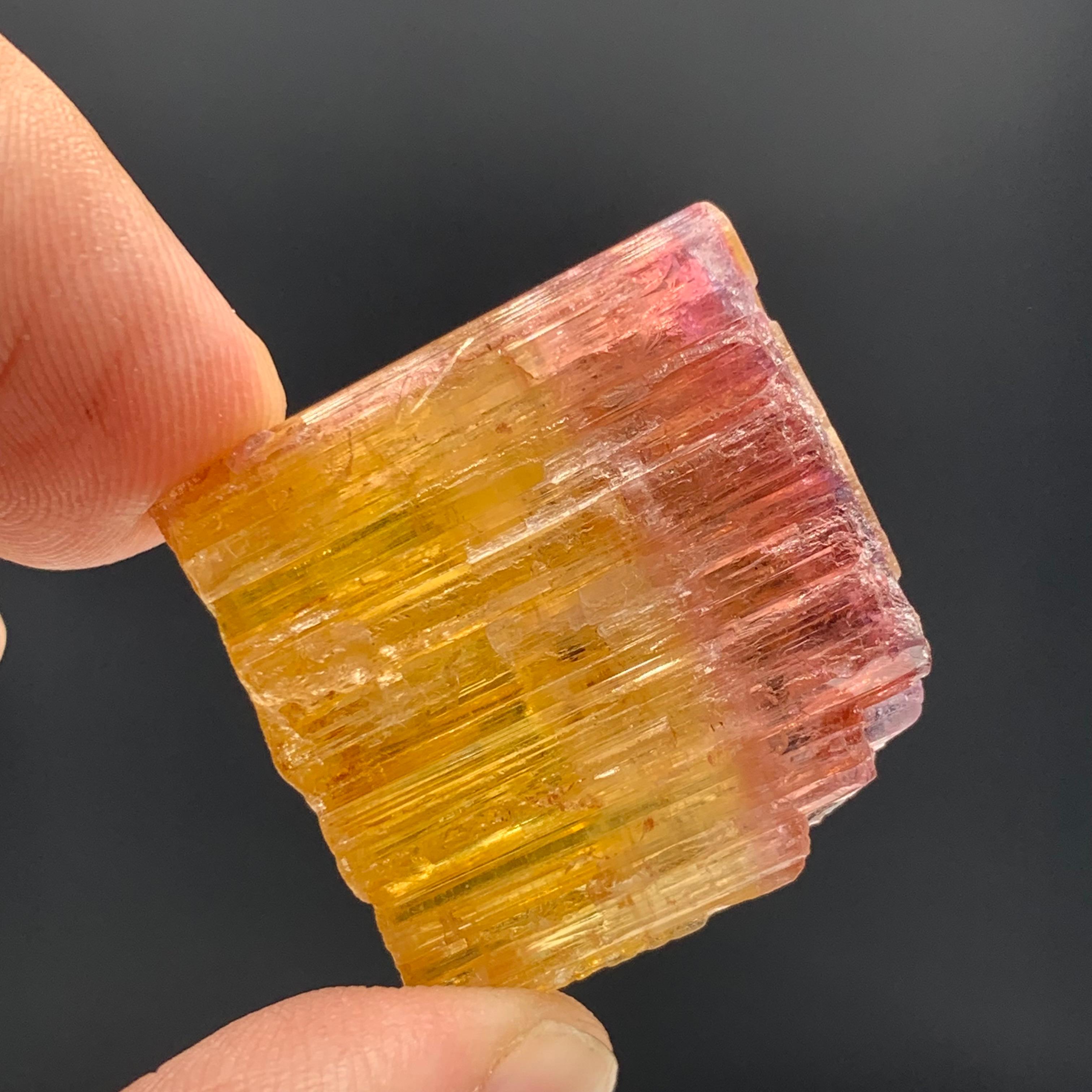 59.15 Carat Beautiful Bi Color Tourmaline Crystal From Paprook Mine, Afghanistan For Sale 4